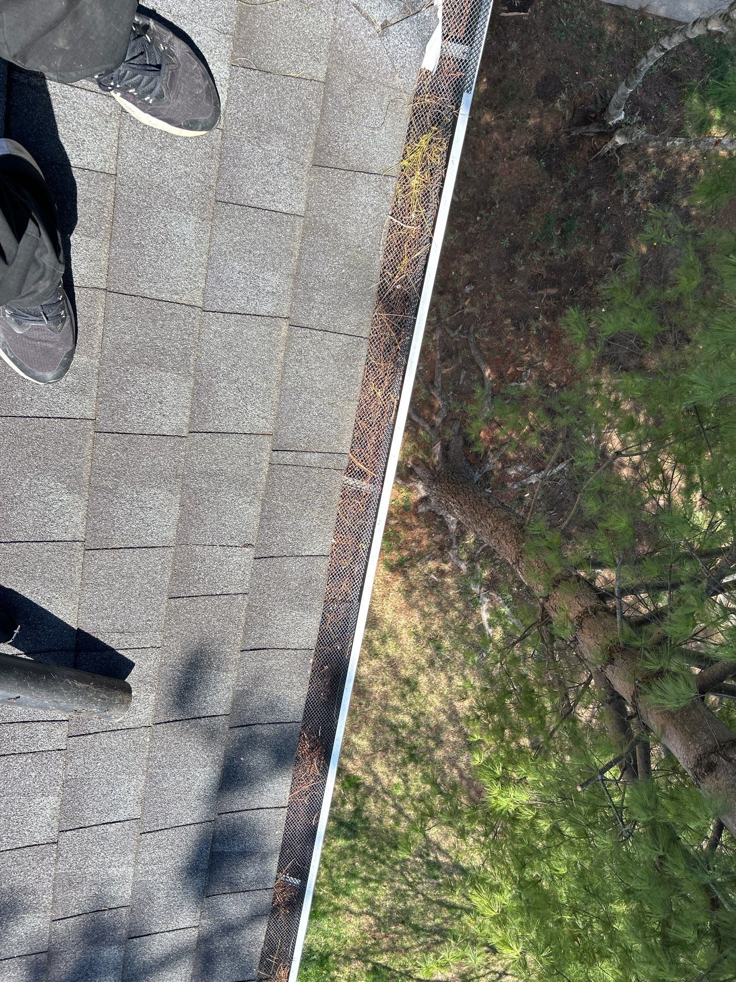 Commercial gutter cleaning Springfield, MO before photo with filled gutters