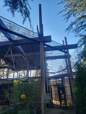 Spider Monkey Sponsors