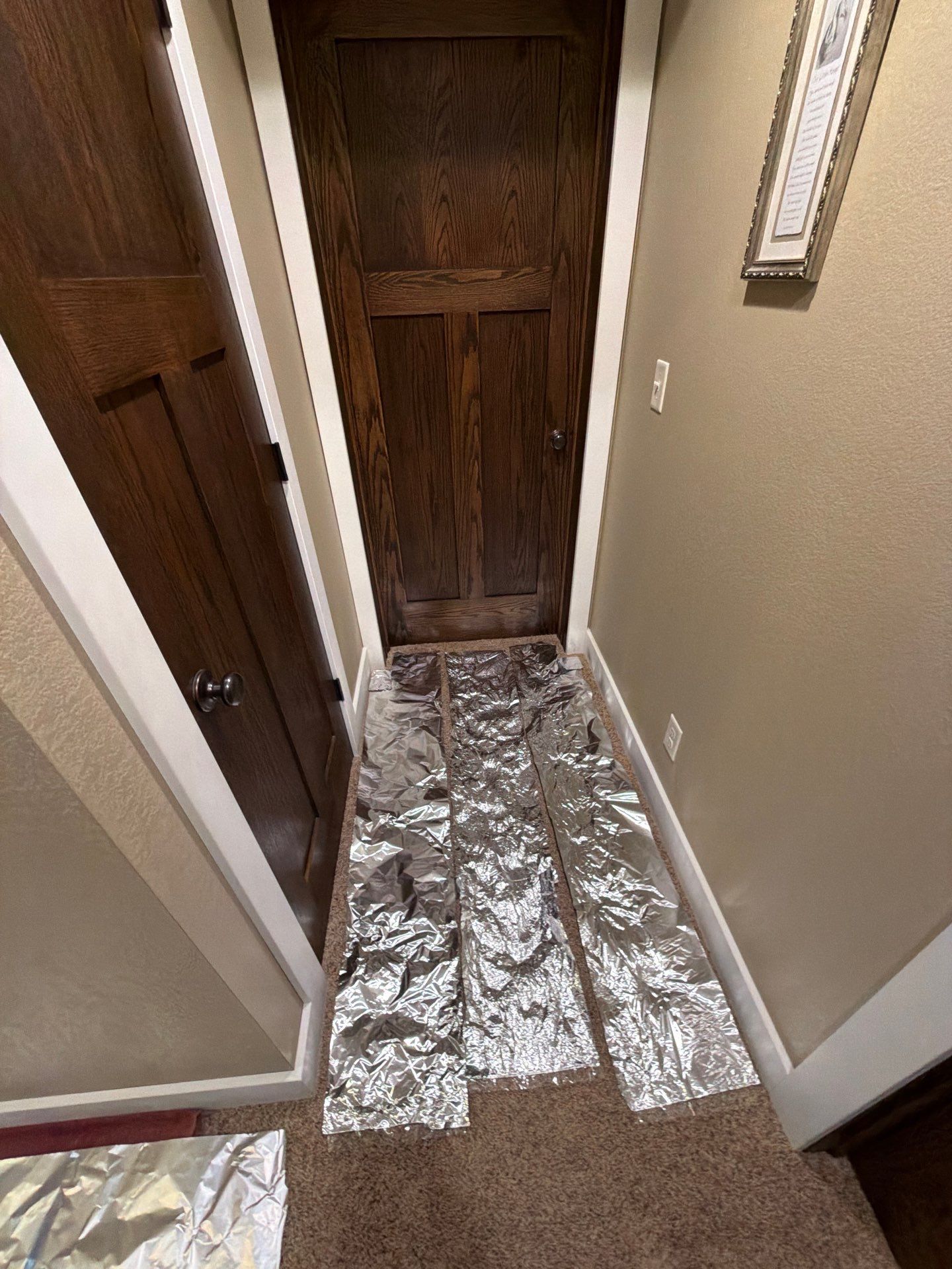 Decorative Flake Concrete Floor Coating for Larchwood Basement by Select Painting, Coatings & Garage Cabinets