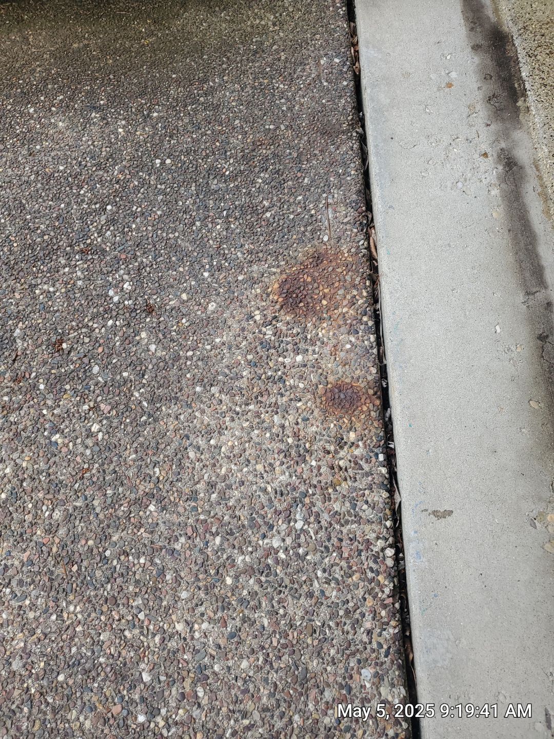Concrete and Brick Paver Restoration Cleaning by Northern Power Washing LLC.