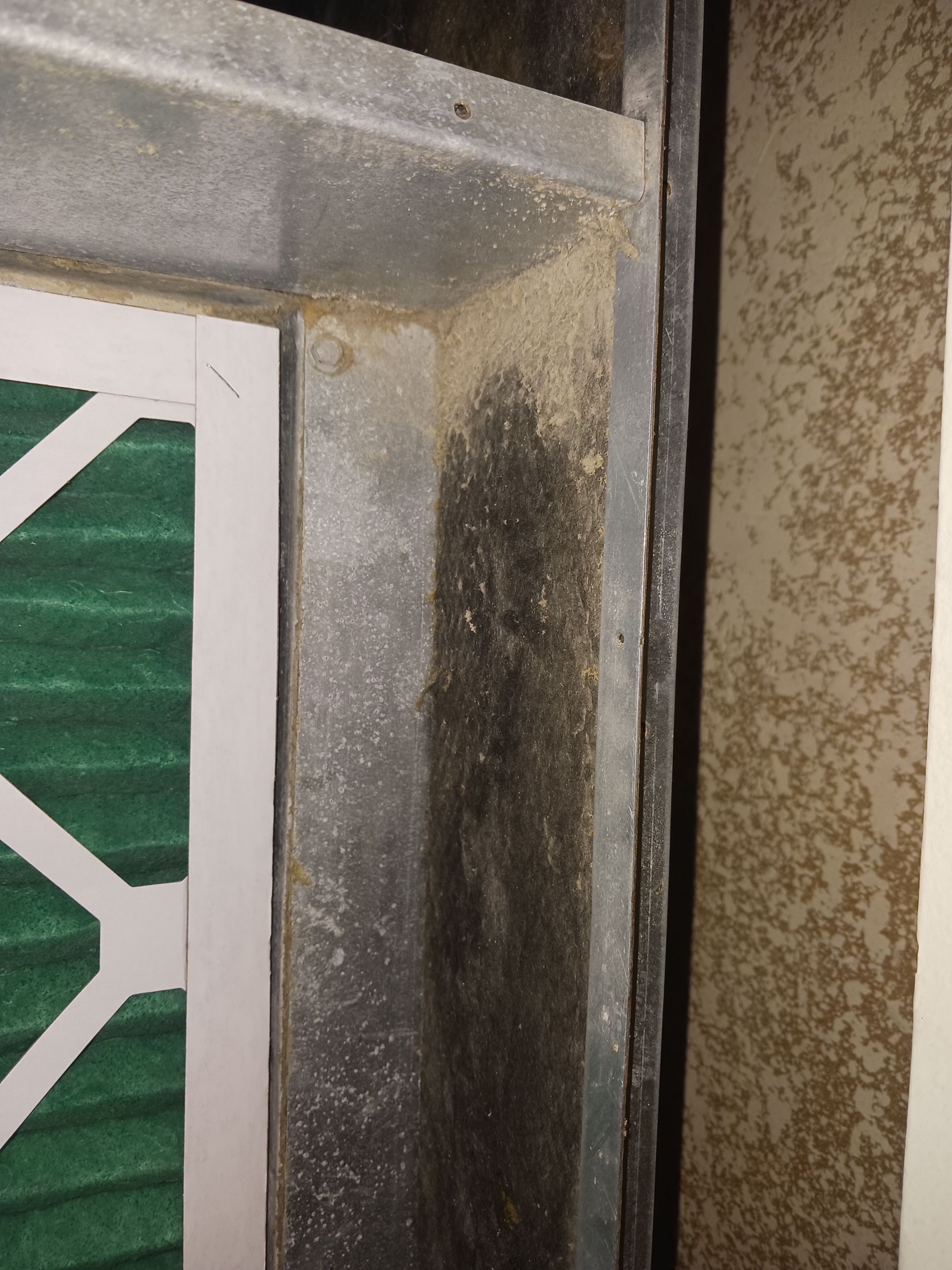 Commercial Air Duct Cleaning in Leesburg by Hygienic Air, Inc