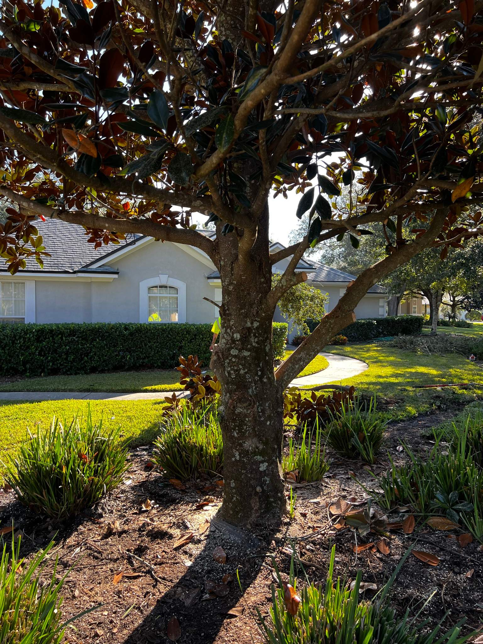 Sod Installation | Deercreek Country Club by ProGreen Services