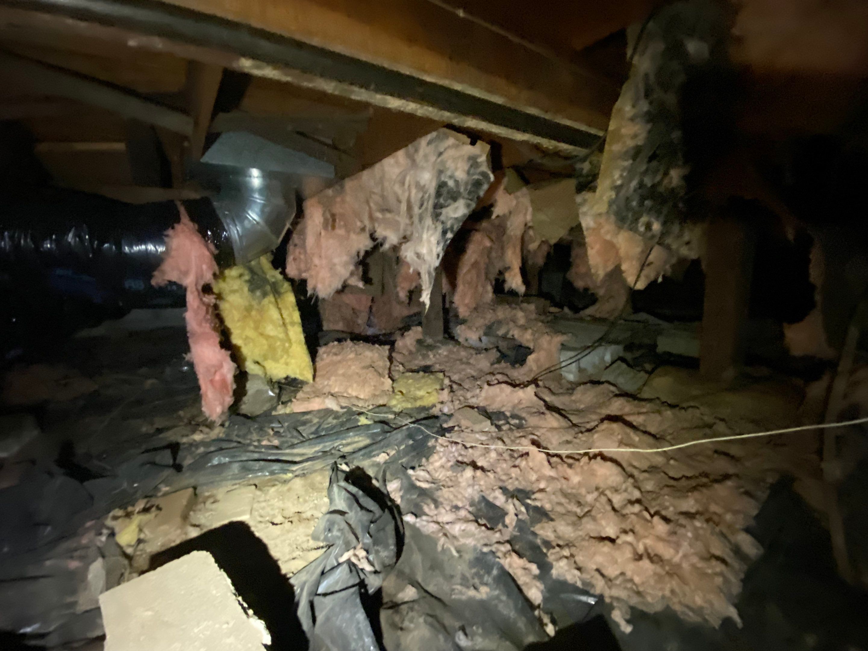Crawlspace Transformation by Hausmeister Home Services INC