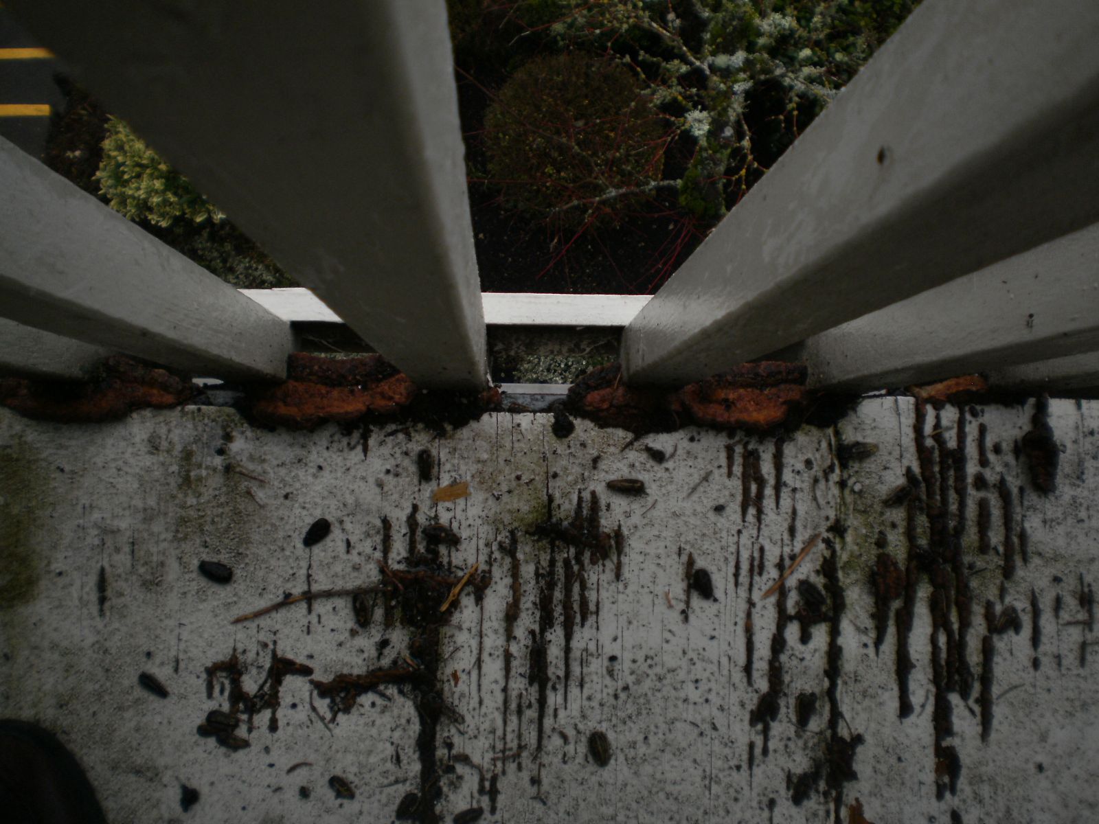 Deck Remove /Repair/Install by Construction Now LLC