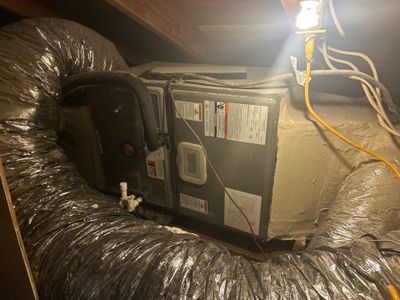 Water Damage Claim in Orlando