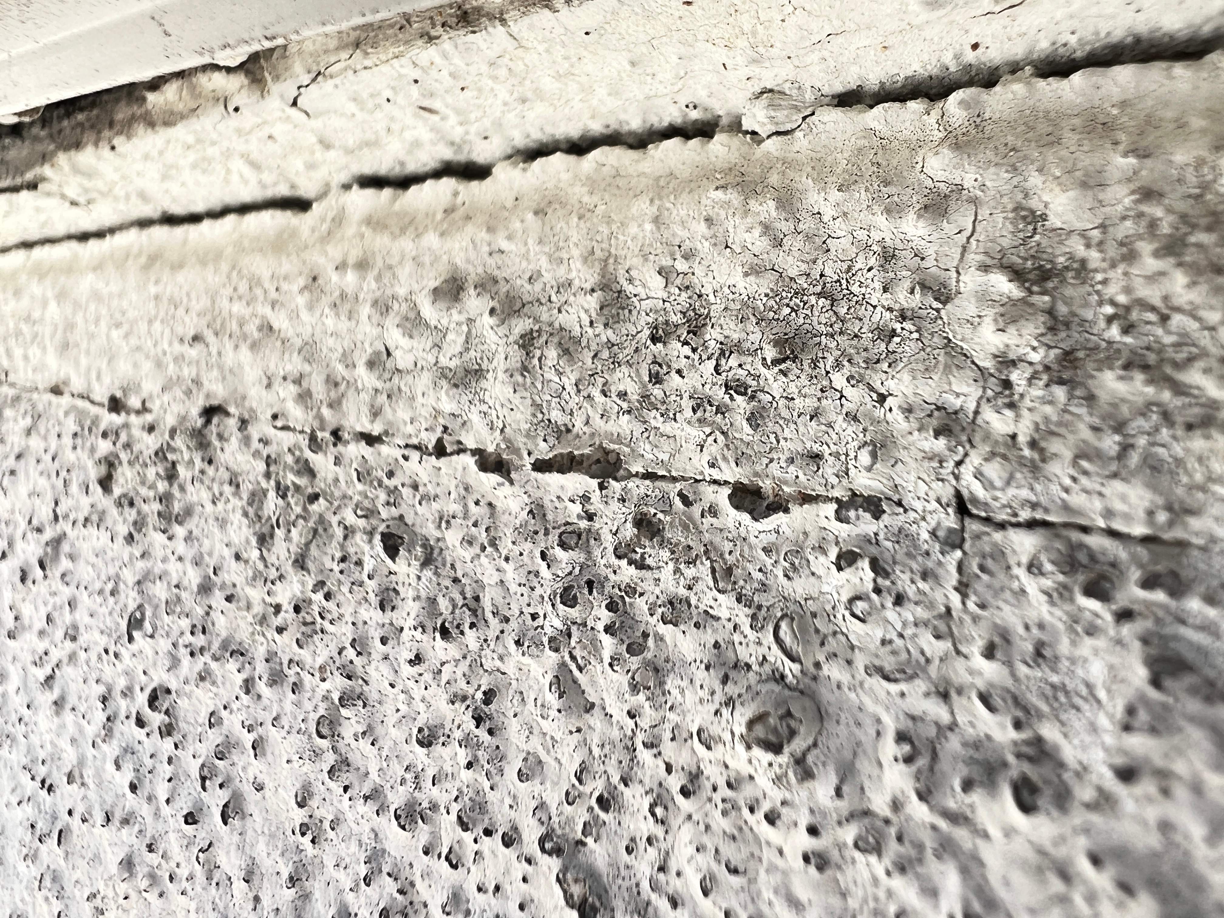 Roof Damage Claim in Sarasota by FLAPA & KeyStone