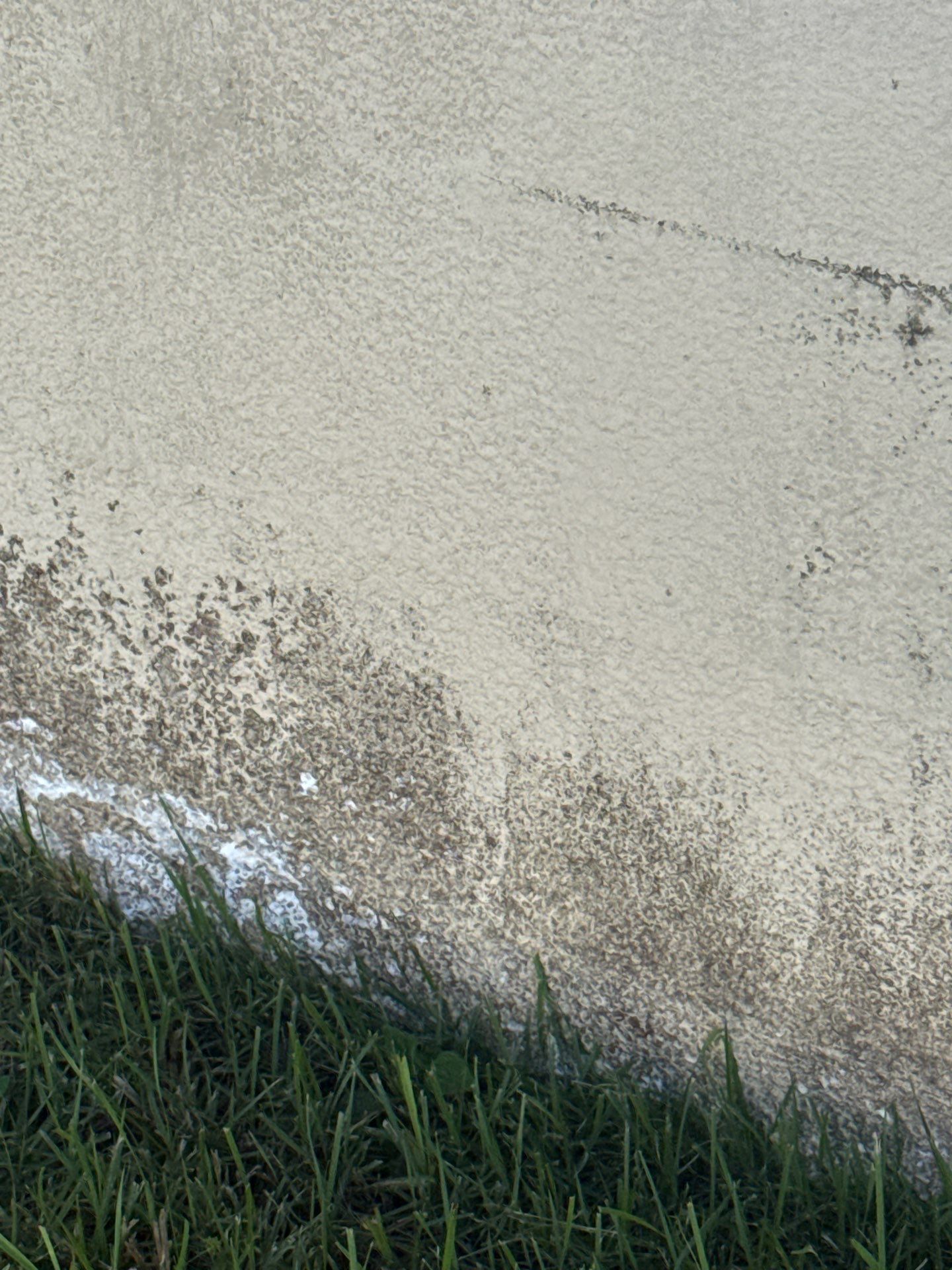 Project in Venice by Sunbelt Home Solutions