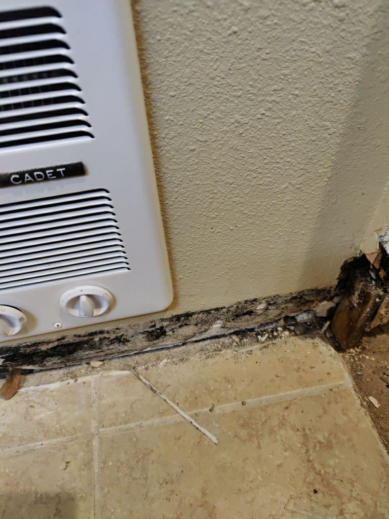 Mold Remediation by Accountable Home Services