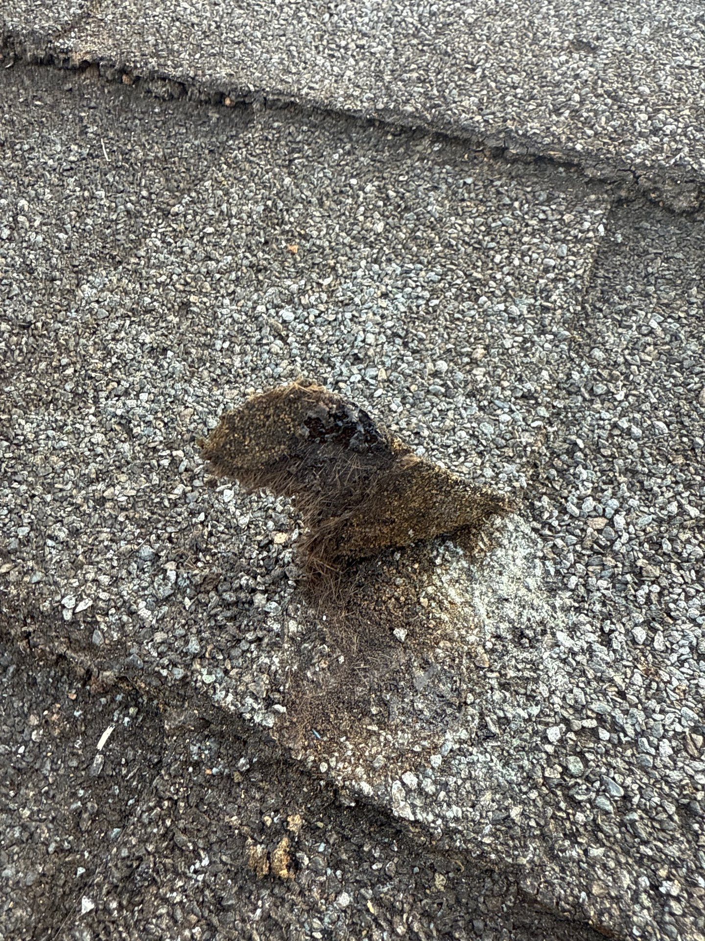 Project in Richmond by Roof Maxx of Midlothian