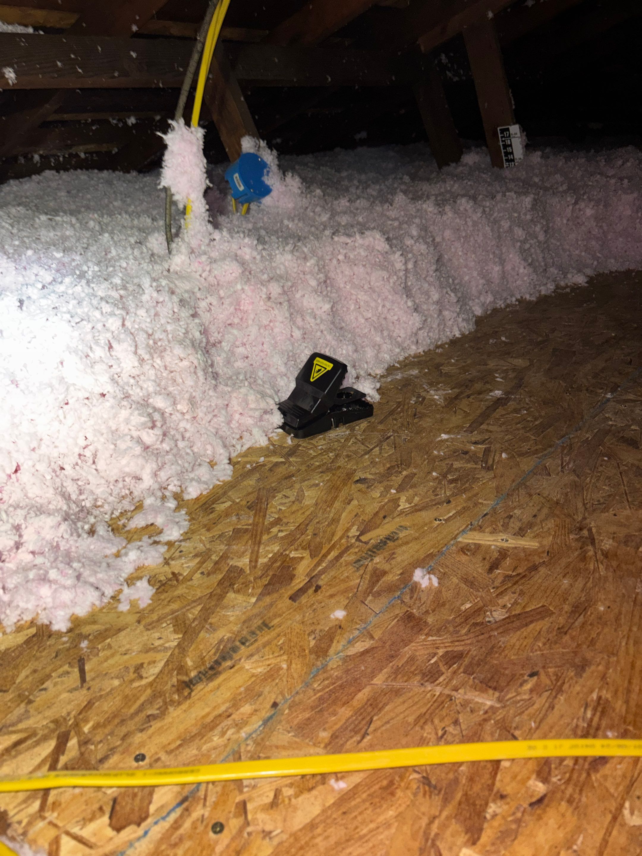 Project in Seal Beach by Insulation Labs