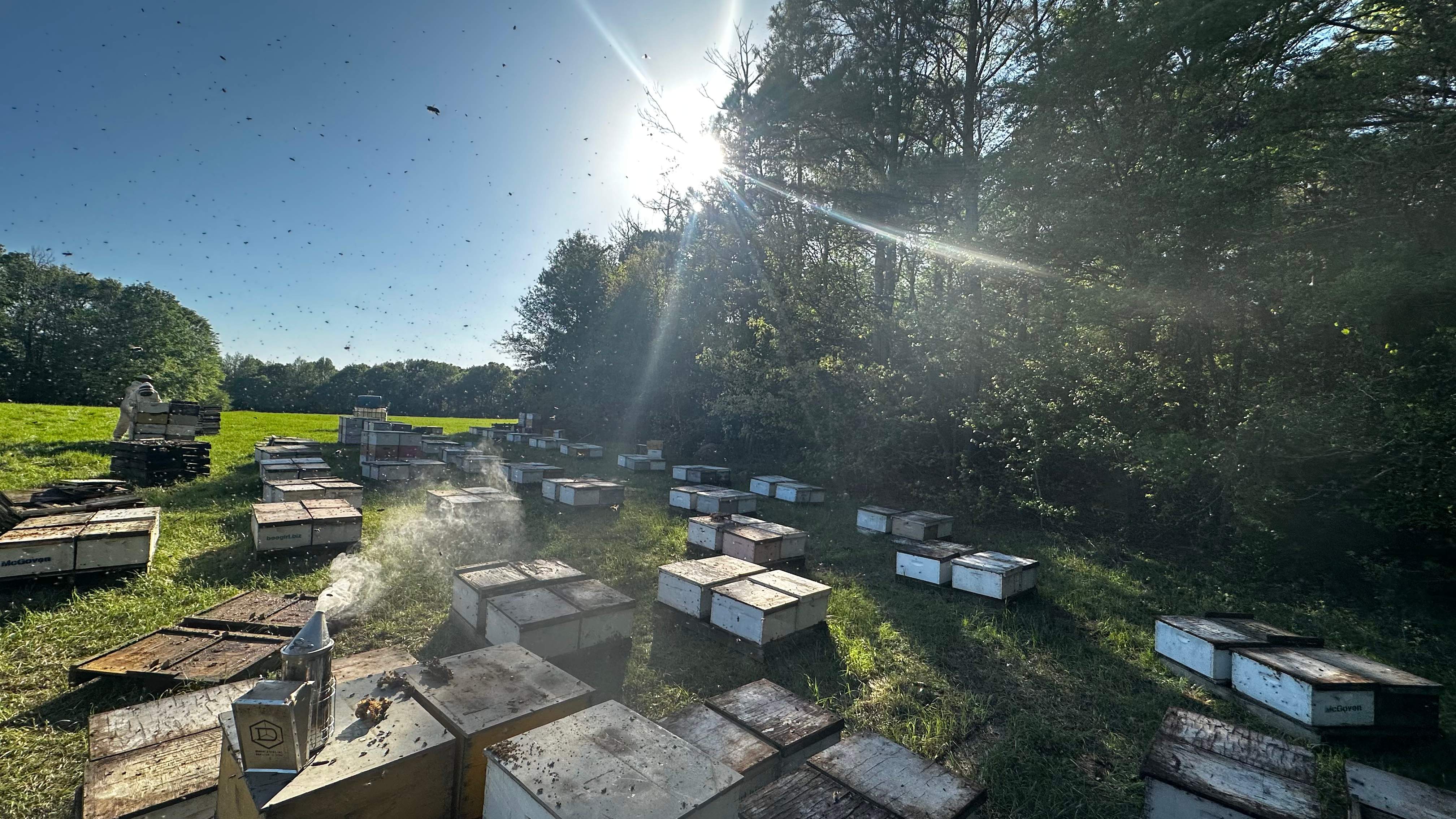 Traylor's Hay Meadow Apiary by Rockwall Honey Bee Company
