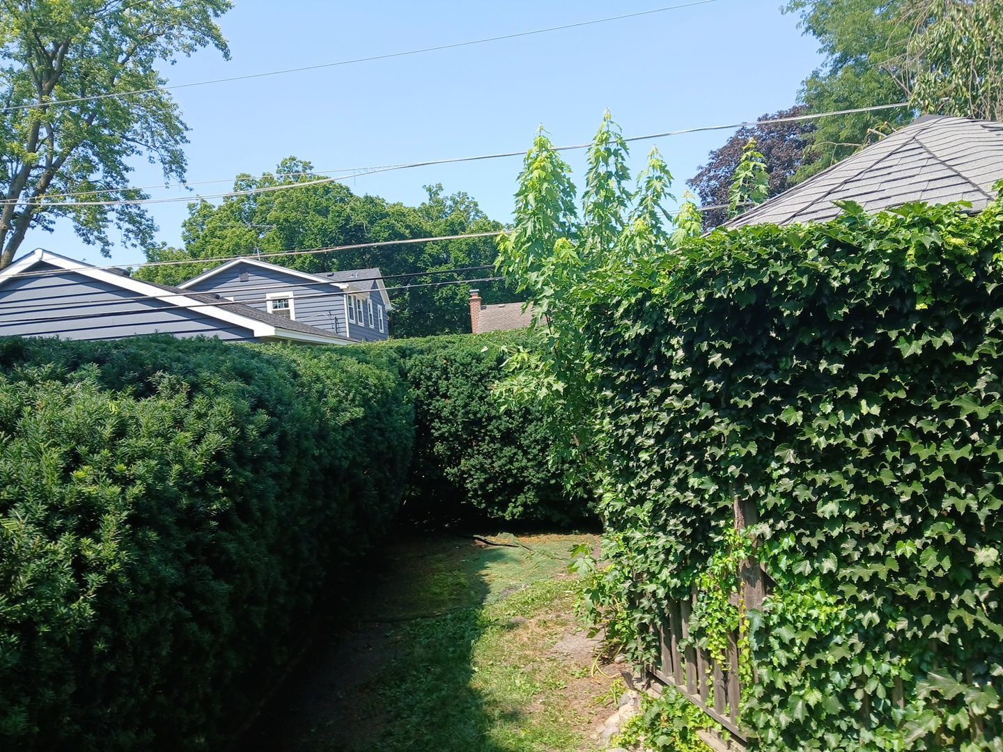 Suzanne V. - Mount Prospect, IL by A&N 