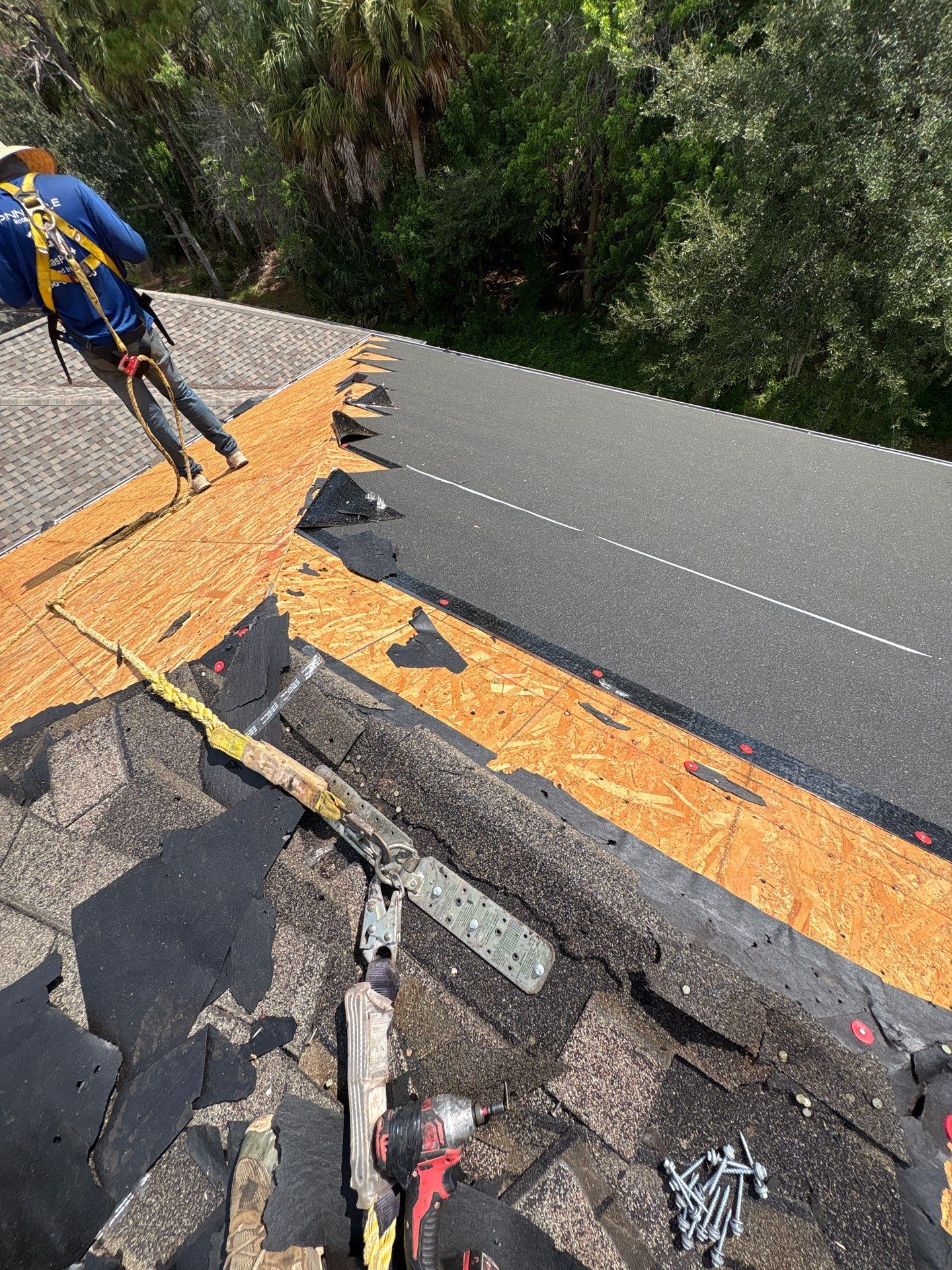 Palm Bay Roof Replacement Featuring Tamko Titan XT Shingles by Pinnacle Roofing Group