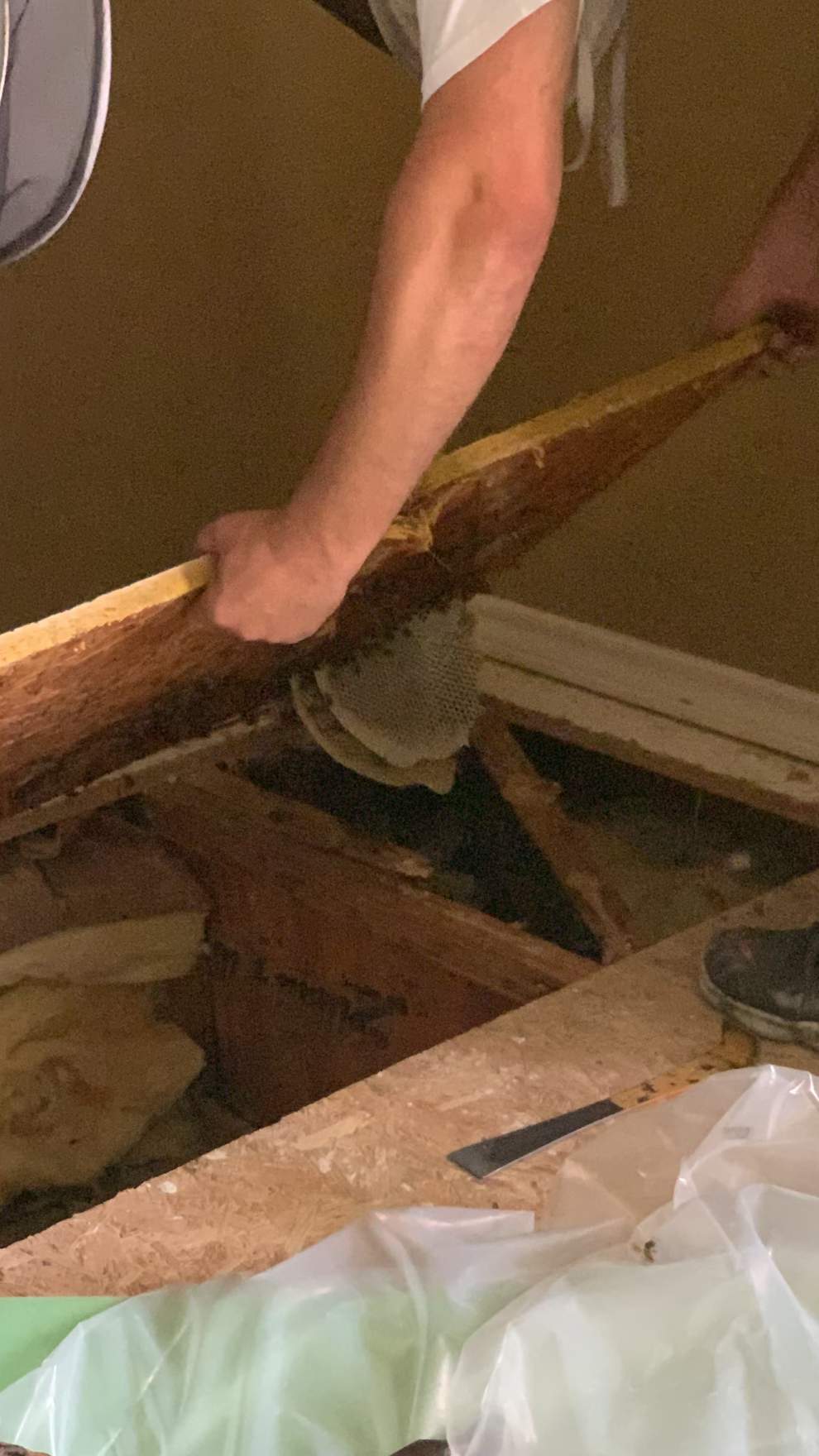 Beekeepers-to-be by Rockwall Honey Bee Company