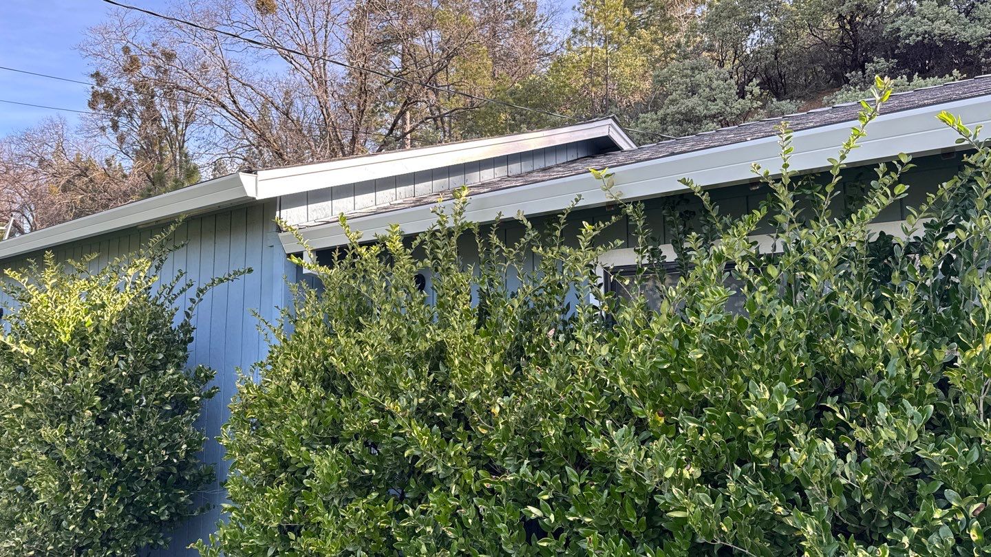 Project in Calfax  by NuLead Construction Inc