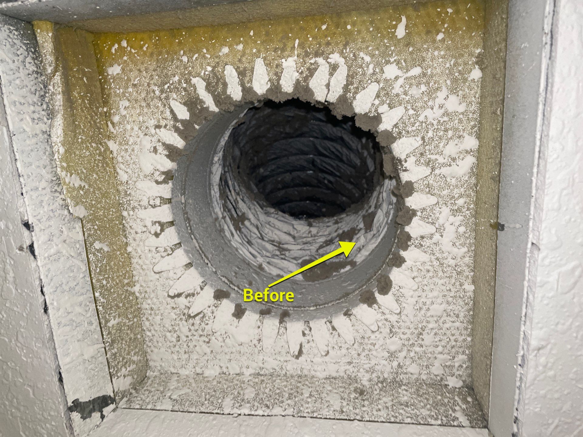 Air Duct Cleaning in Bartow by Hygienic Air, Inc