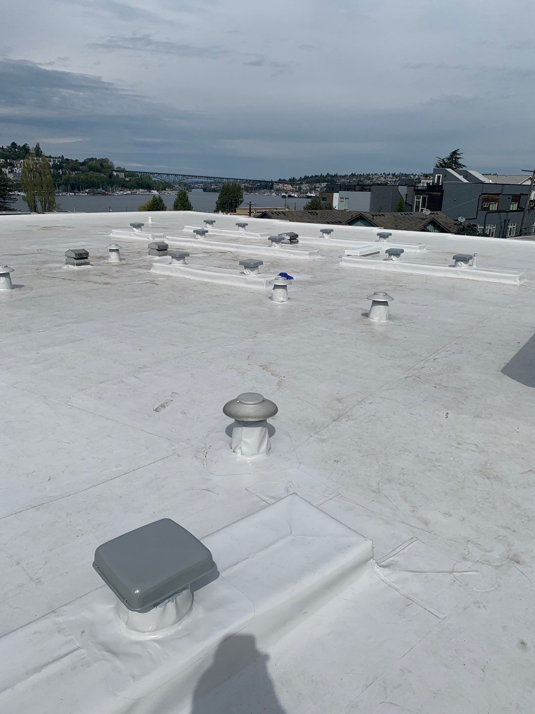 2026 Seattle Multi Family Overlay by Alternative Roofing Systems Inc. 