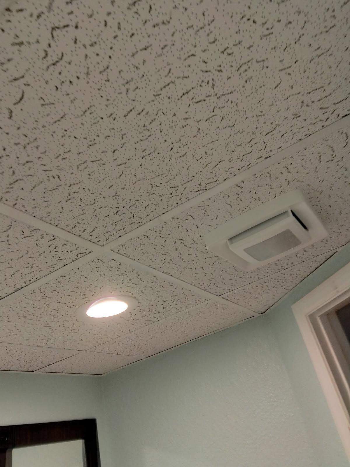Ceiling Tile & Bathroom Vent Replacement - Columbia, IL