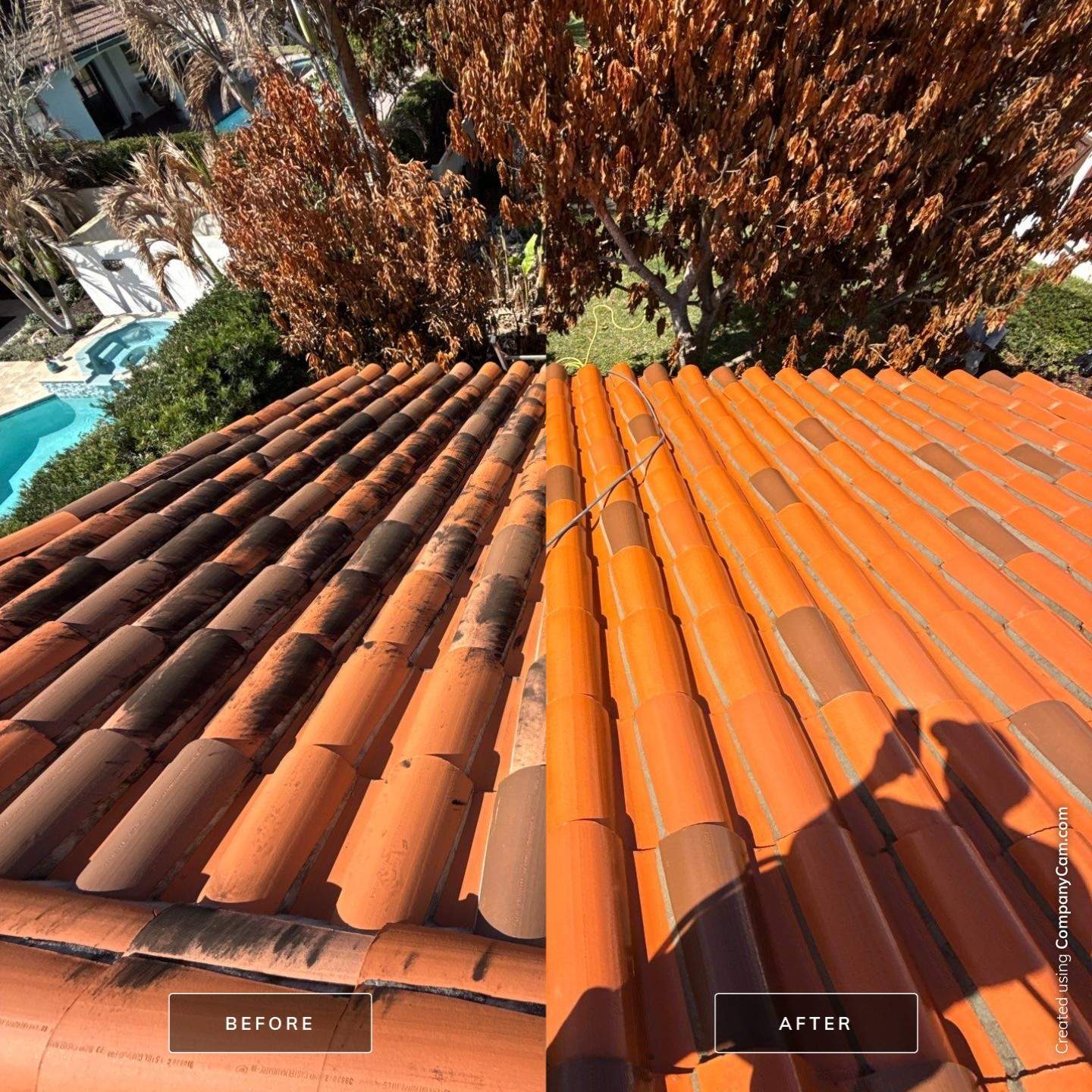 Tile Roof Cleaning by Mallard Systems
