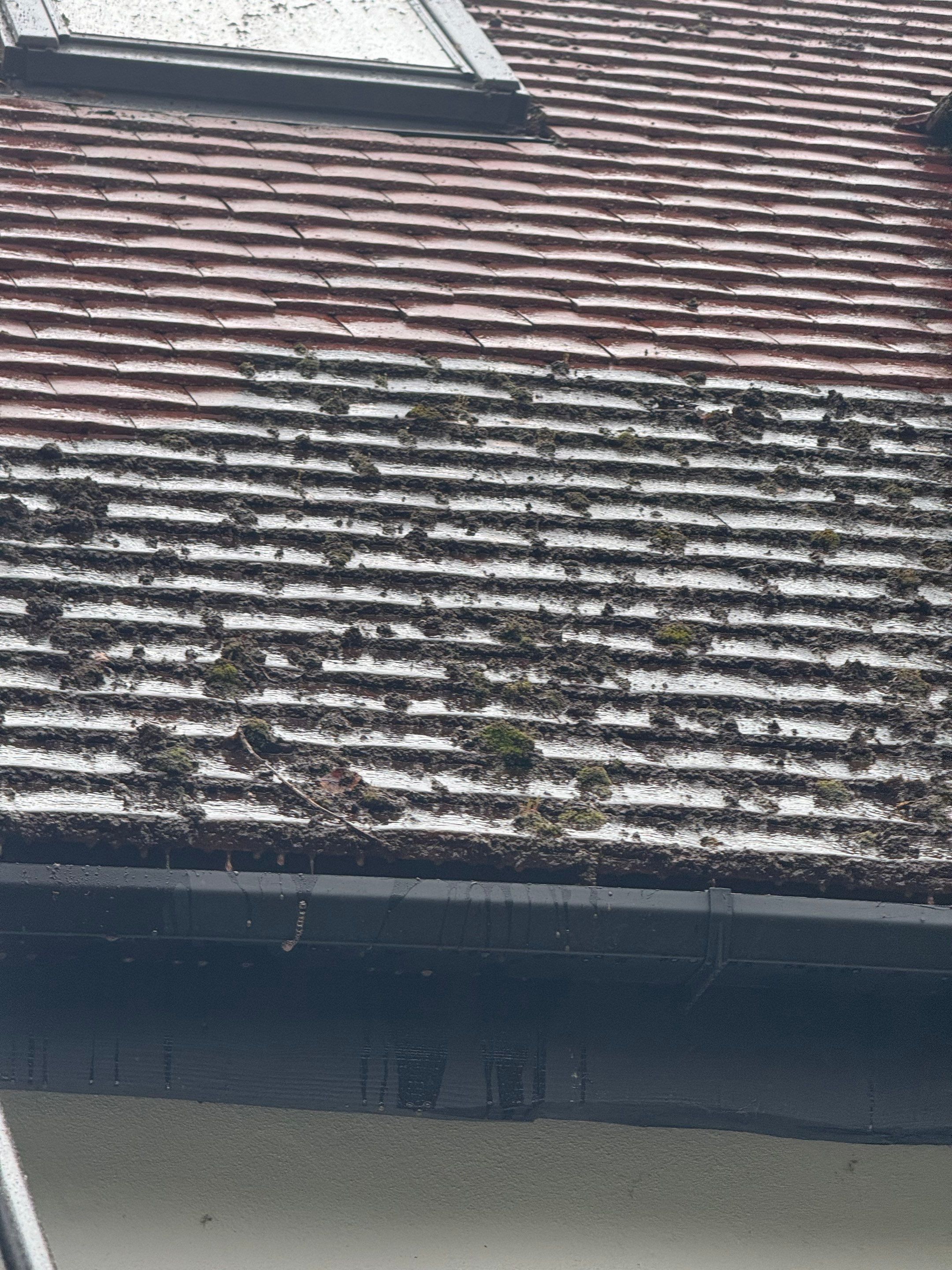 Roof and Patio Cleaning using Honda 15lpm Low Pressure Washing Machine by Ges Exterior Cleaning ltd