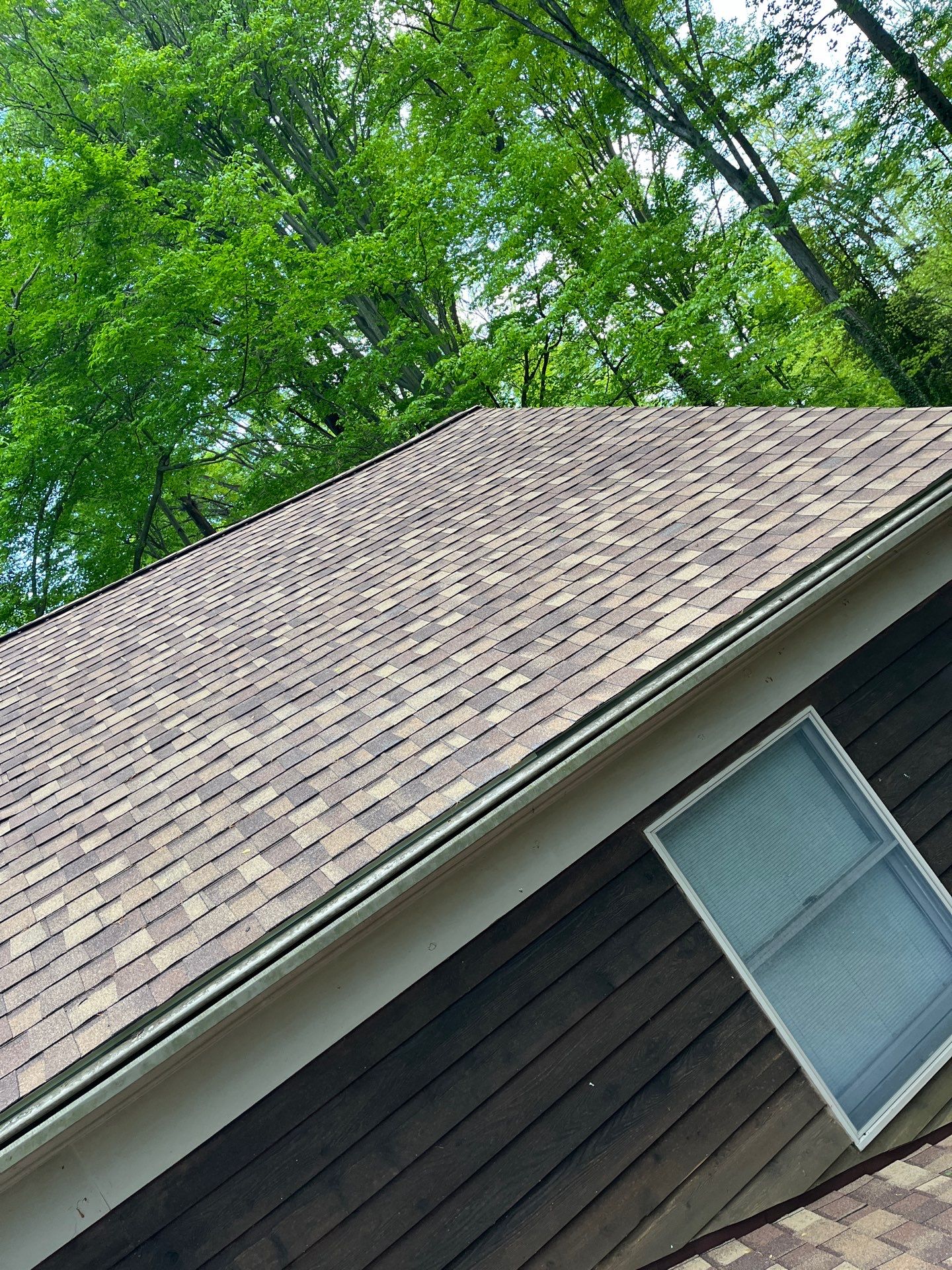 Annandale: Multi-Trade Tree Damage Restoration by RM Banning, Inc.