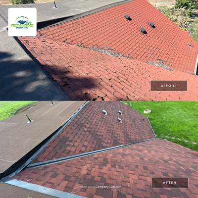 Merlot Shingles