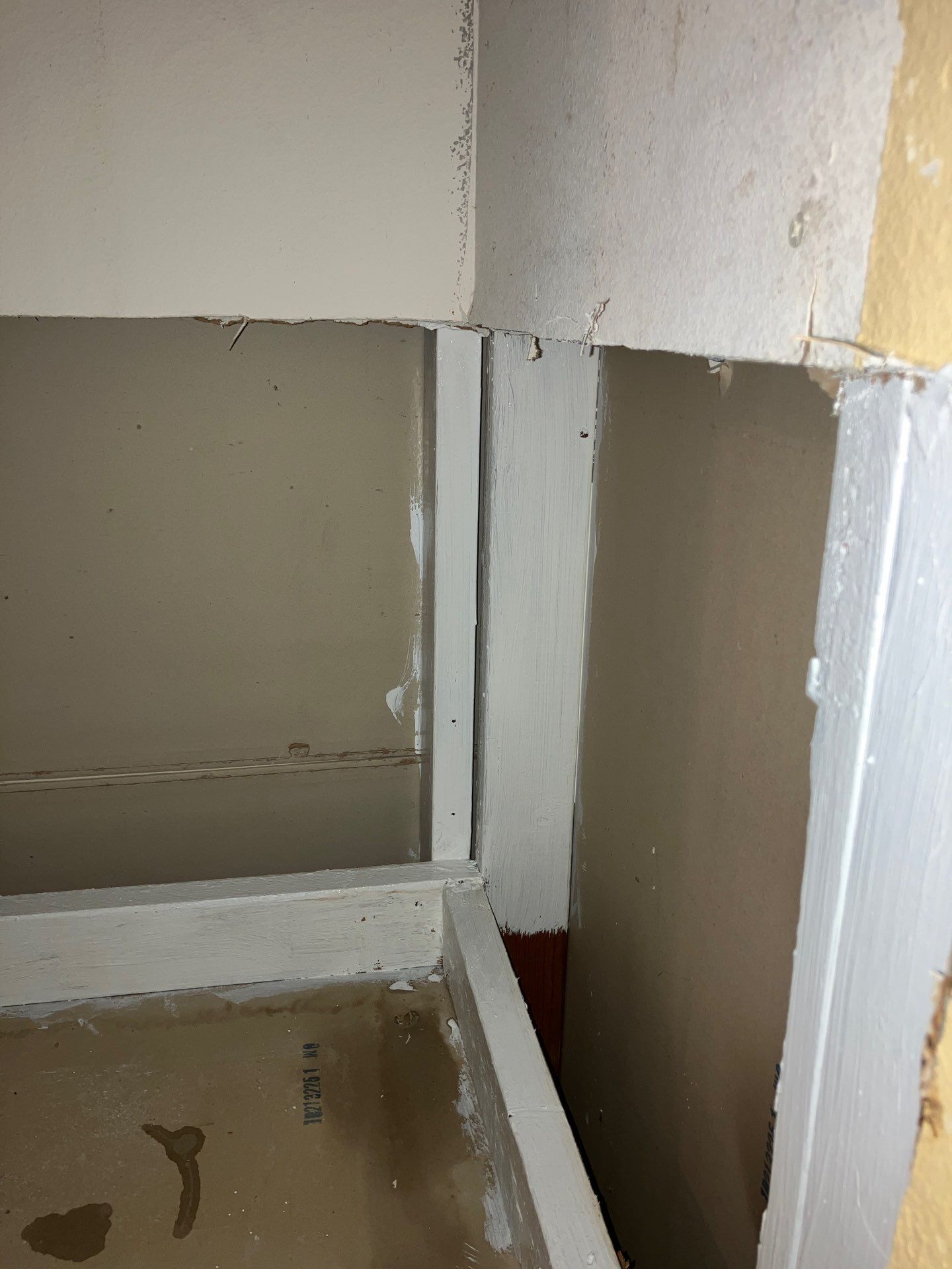 Bradenton Mold Remediation by Ampm Restoration Services