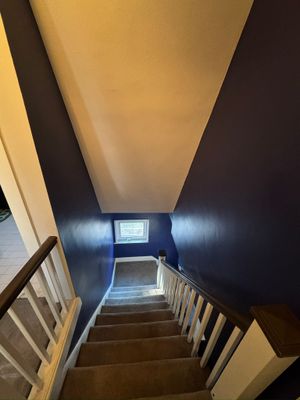 Dark Colorful Interior Painting Project