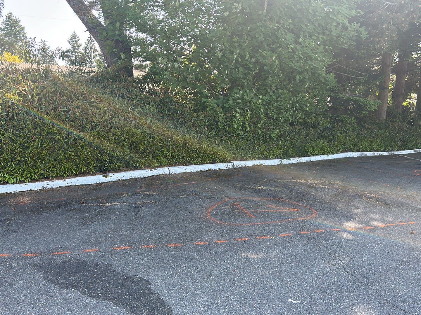 Lakeshore Investment | Parking Lot Repaving | Asphalt Project by Jireh Asphalt & Concrete Inc 