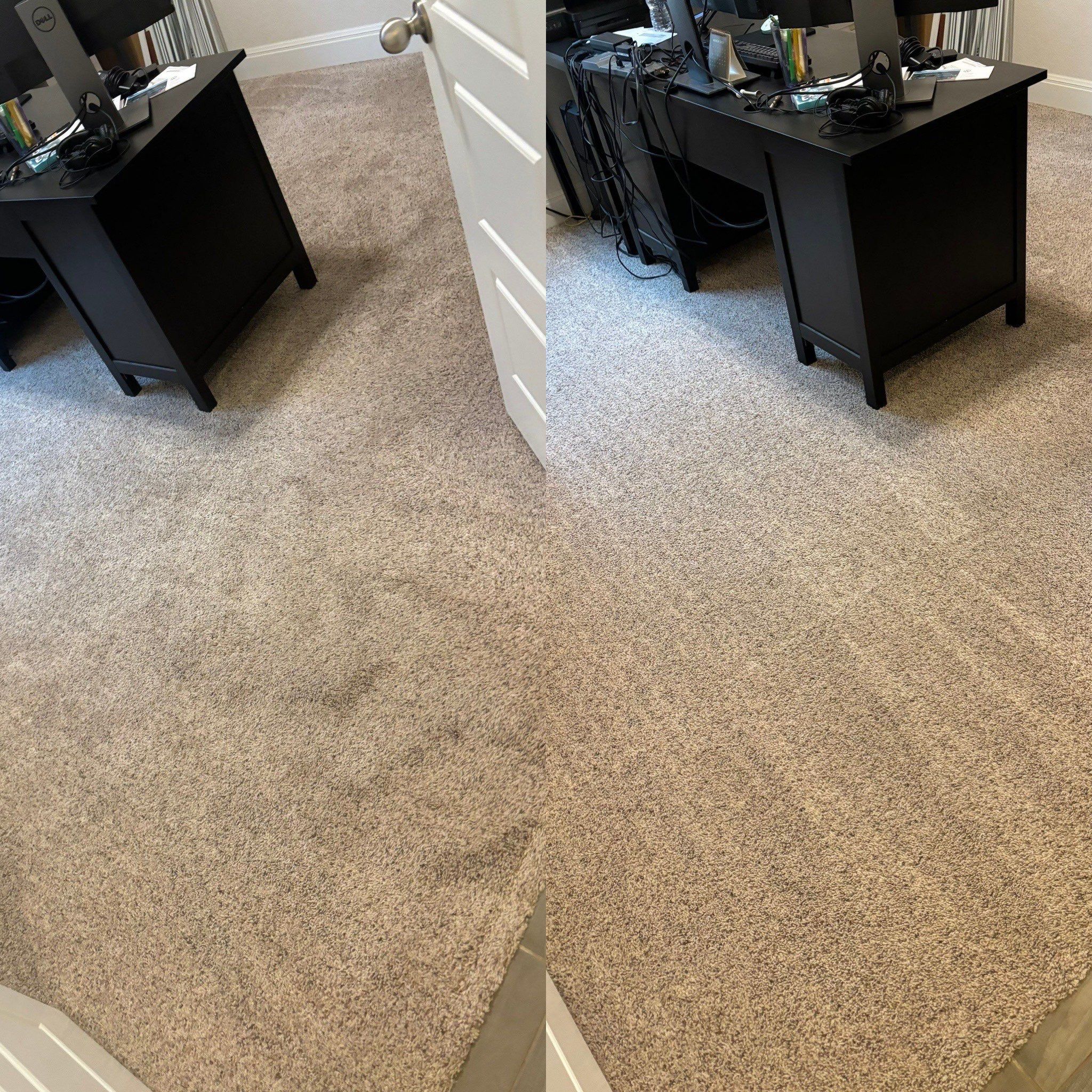 the service being done is carpet cleaning making the surface look fresh and restored after treatment