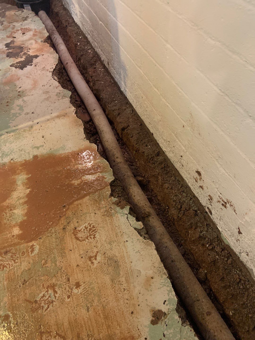 Helping Diane Protect Her Home by Waterproofing Northeast