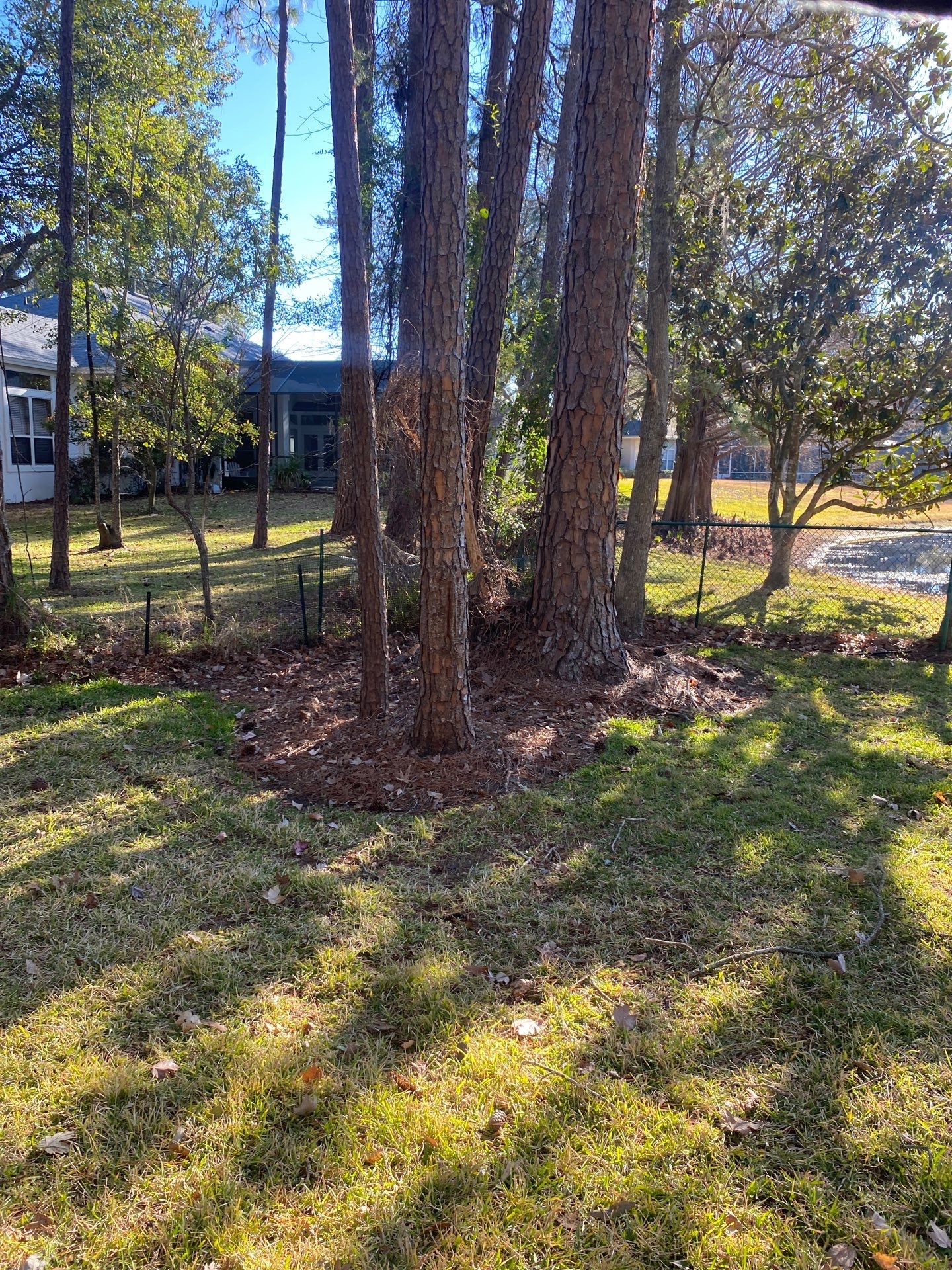 Deerwood Resident | Tree Removal & Clean-Up by ProGreen Services