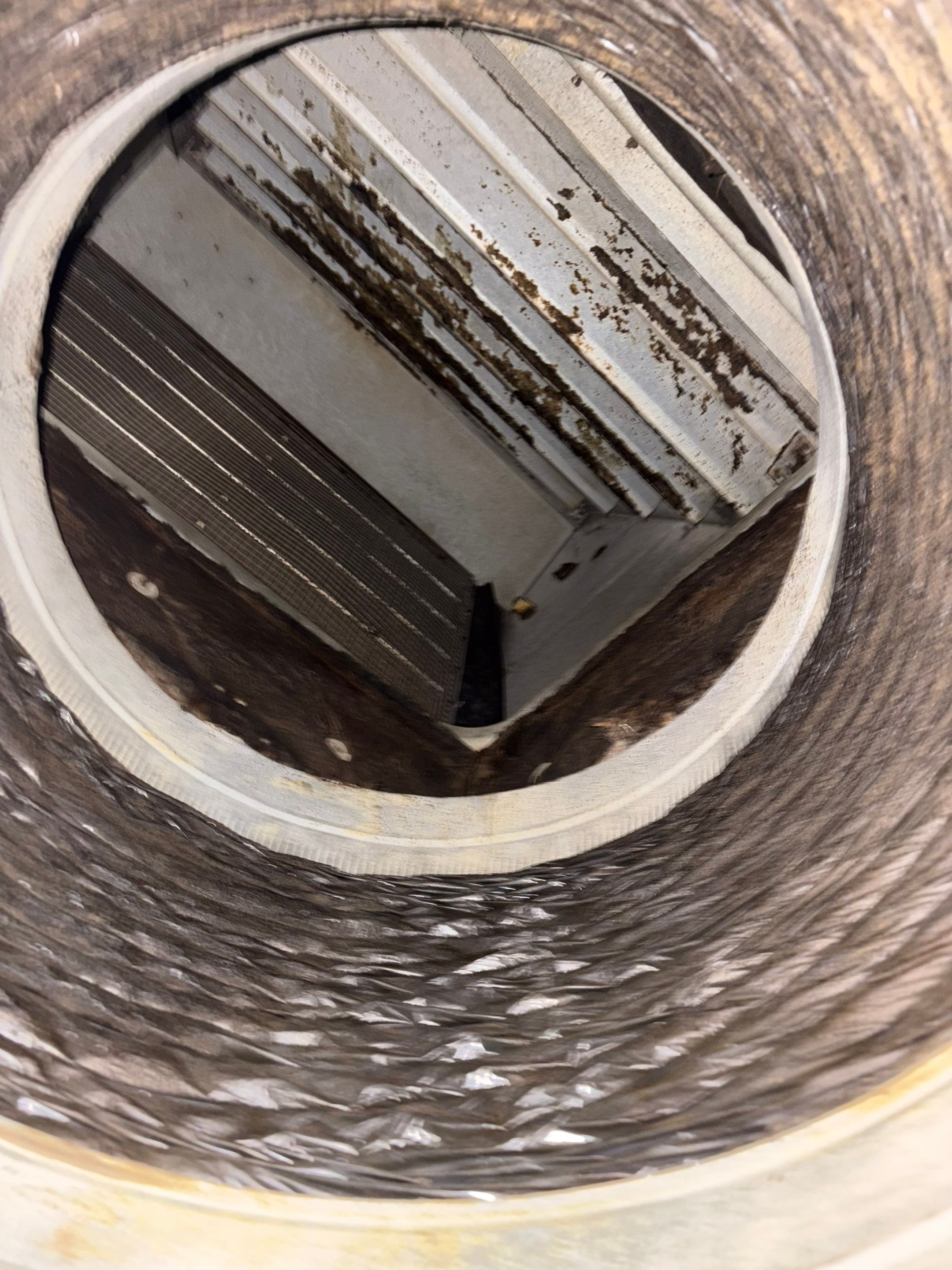 Southern Kitchen Duct Cleaning in New Market by Elemental Heating and air conditioning LLC