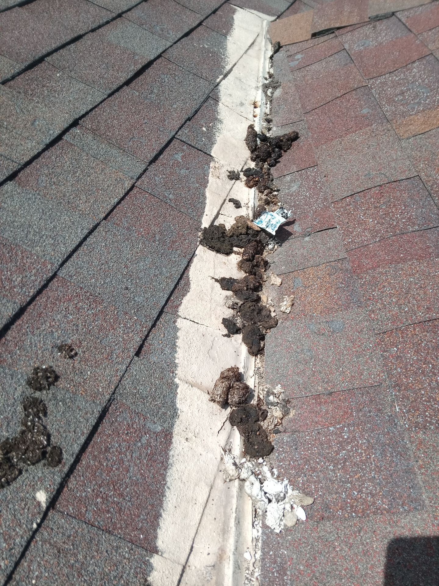 National Seashore New Roof by Bayfront Roofing and Construction