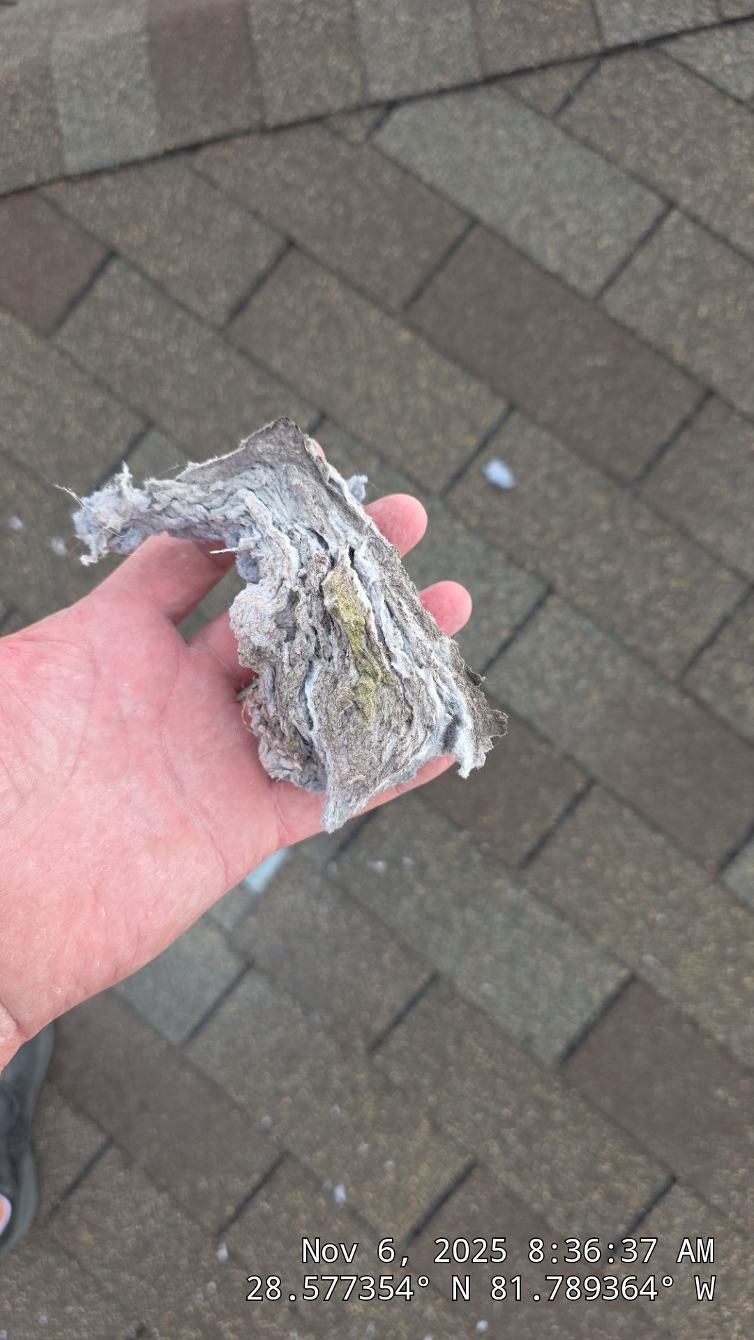 Dryer Vent in Cleaning in Clermont by Hygienic Air, Inc