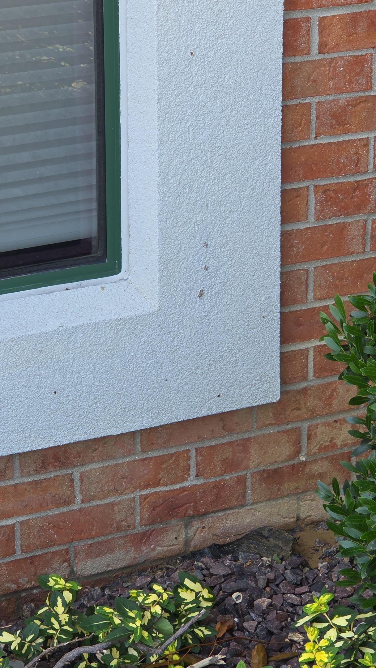 FNB Exterior Restoration & Painting by Dillinger Painting LLC