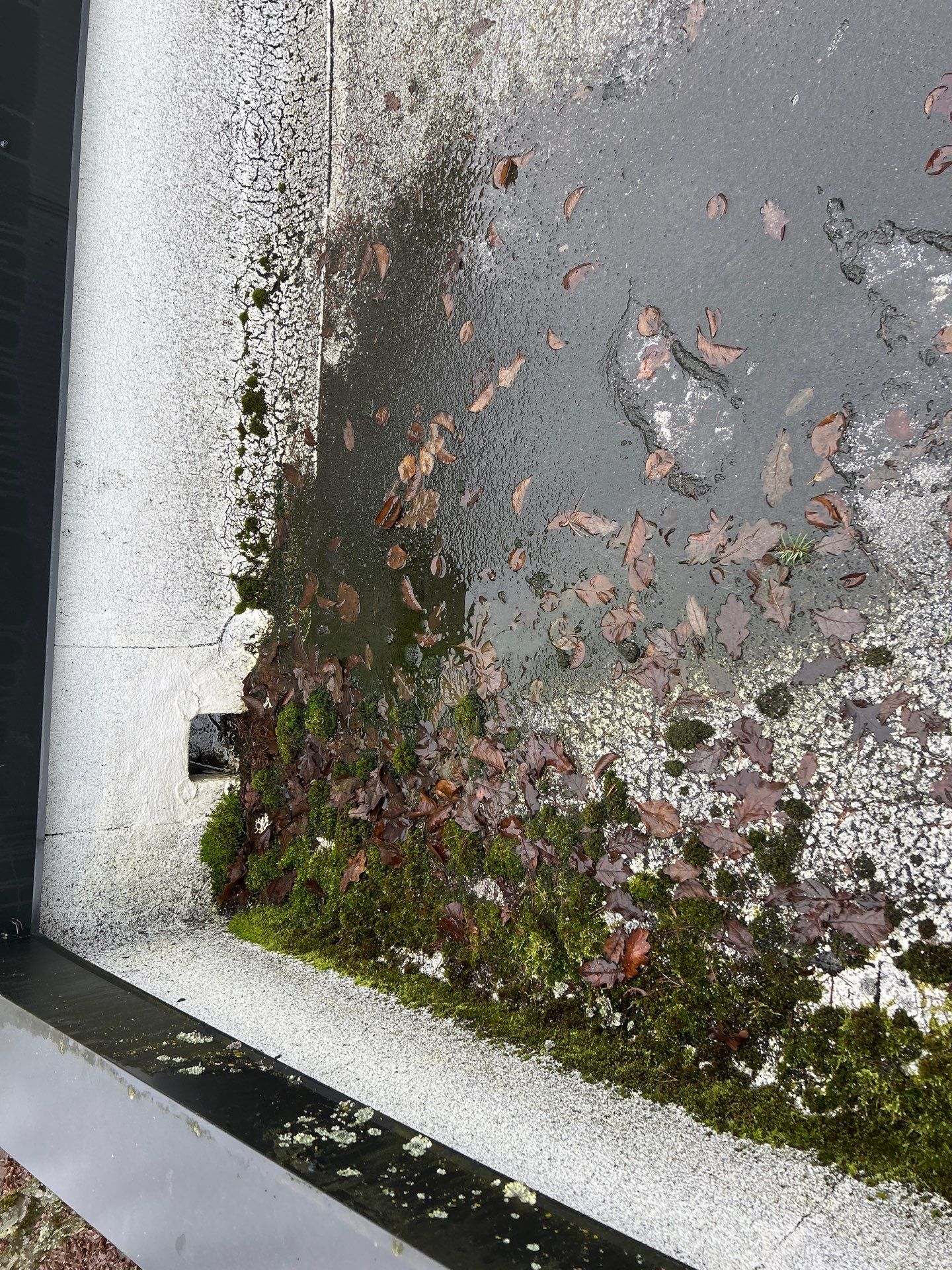 Project in Kirkland by Connolly Construction Company