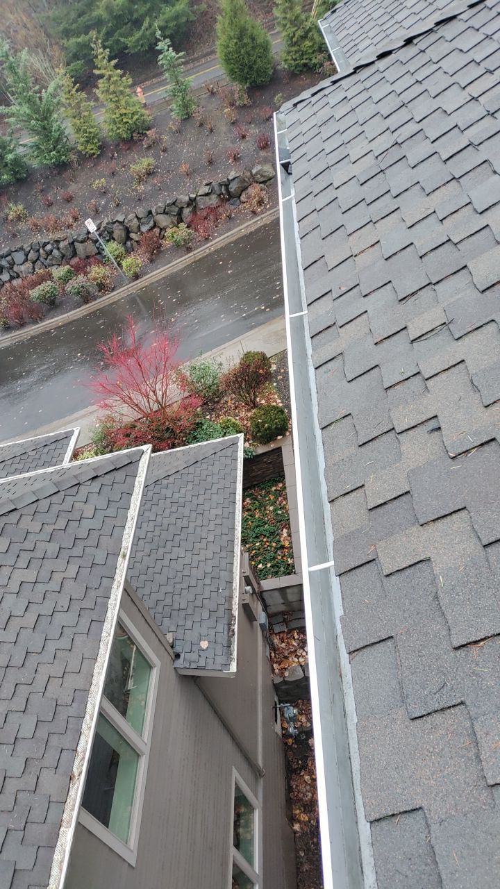 Gutter Cleaning by Paul Schopp