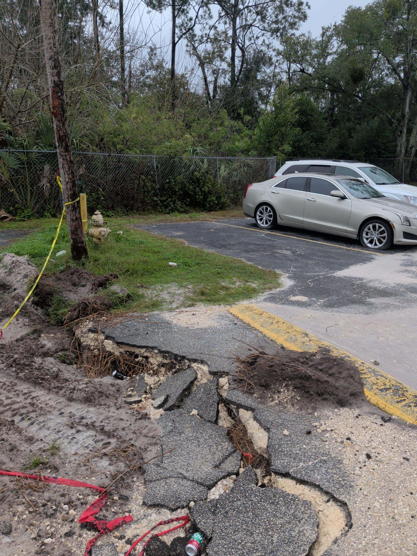 Commercial Landscape Cleanup & Weekly Maintenance — Grassy Pond Apartments by Harmoni Home Services