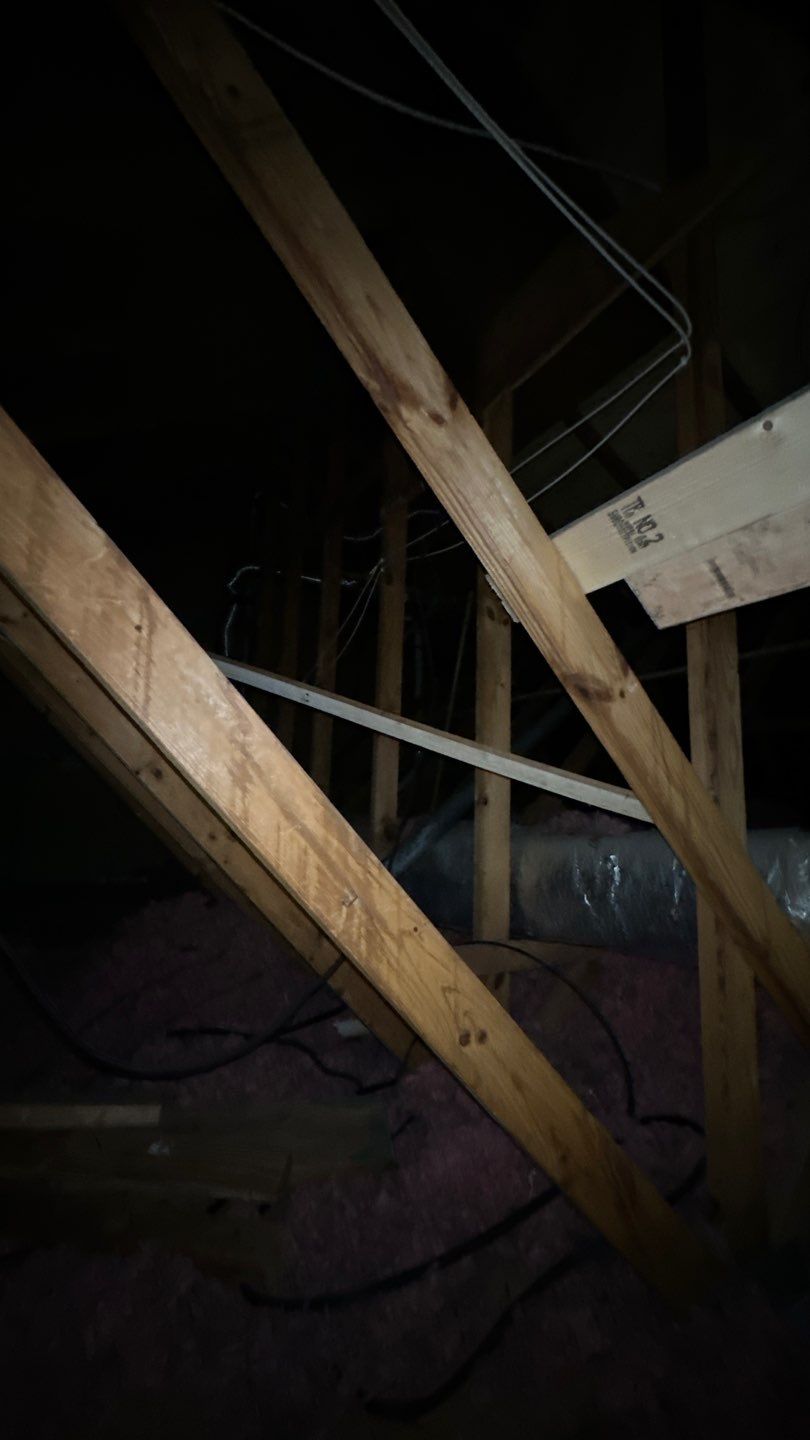 West Springfield: Major Tree Damage Restoration by RM Banning, Inc.