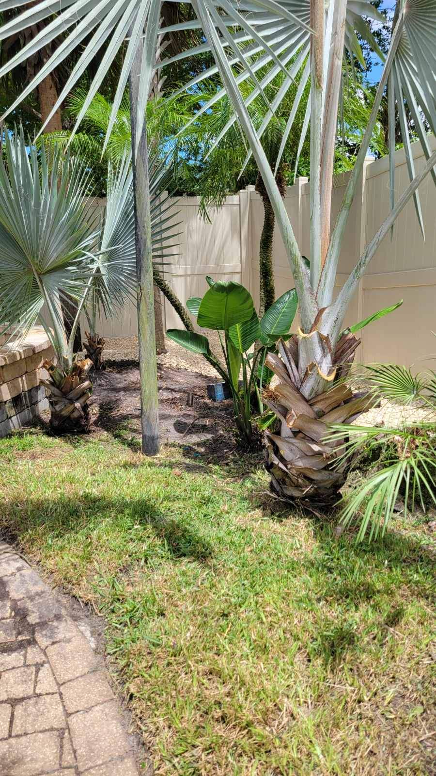 Landscape Install & Clean Up | Residence by ProGreen Services