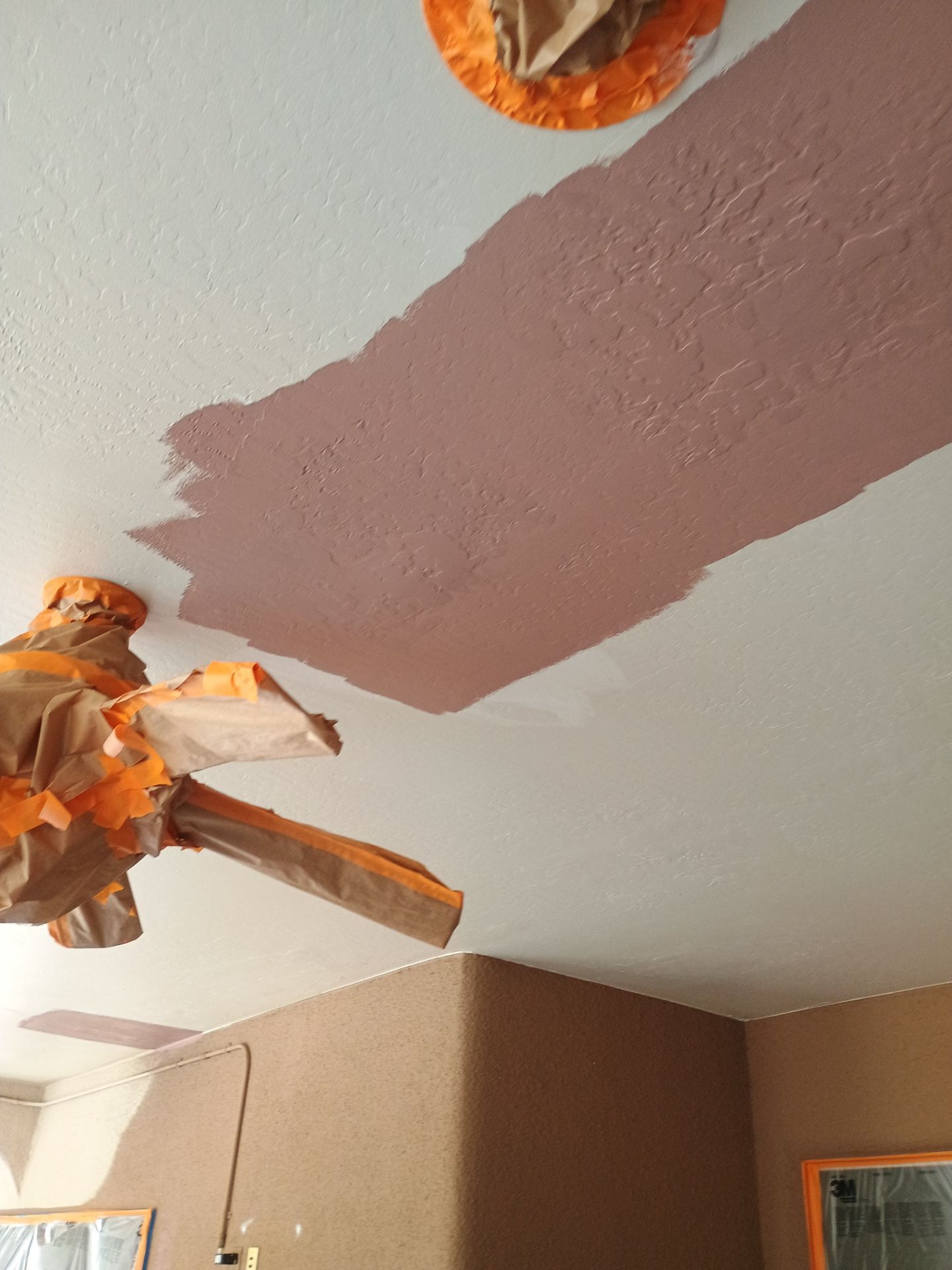 Exterior Painting - Scottsdale by Crash of Rhinos Painting & Garage Floors