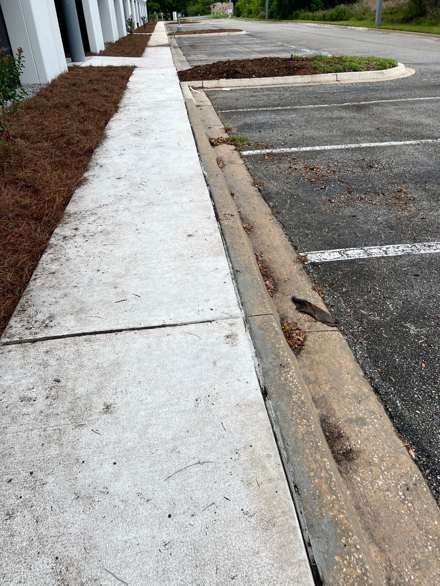 Large Landscape Project | Center Point by ProGreen Services