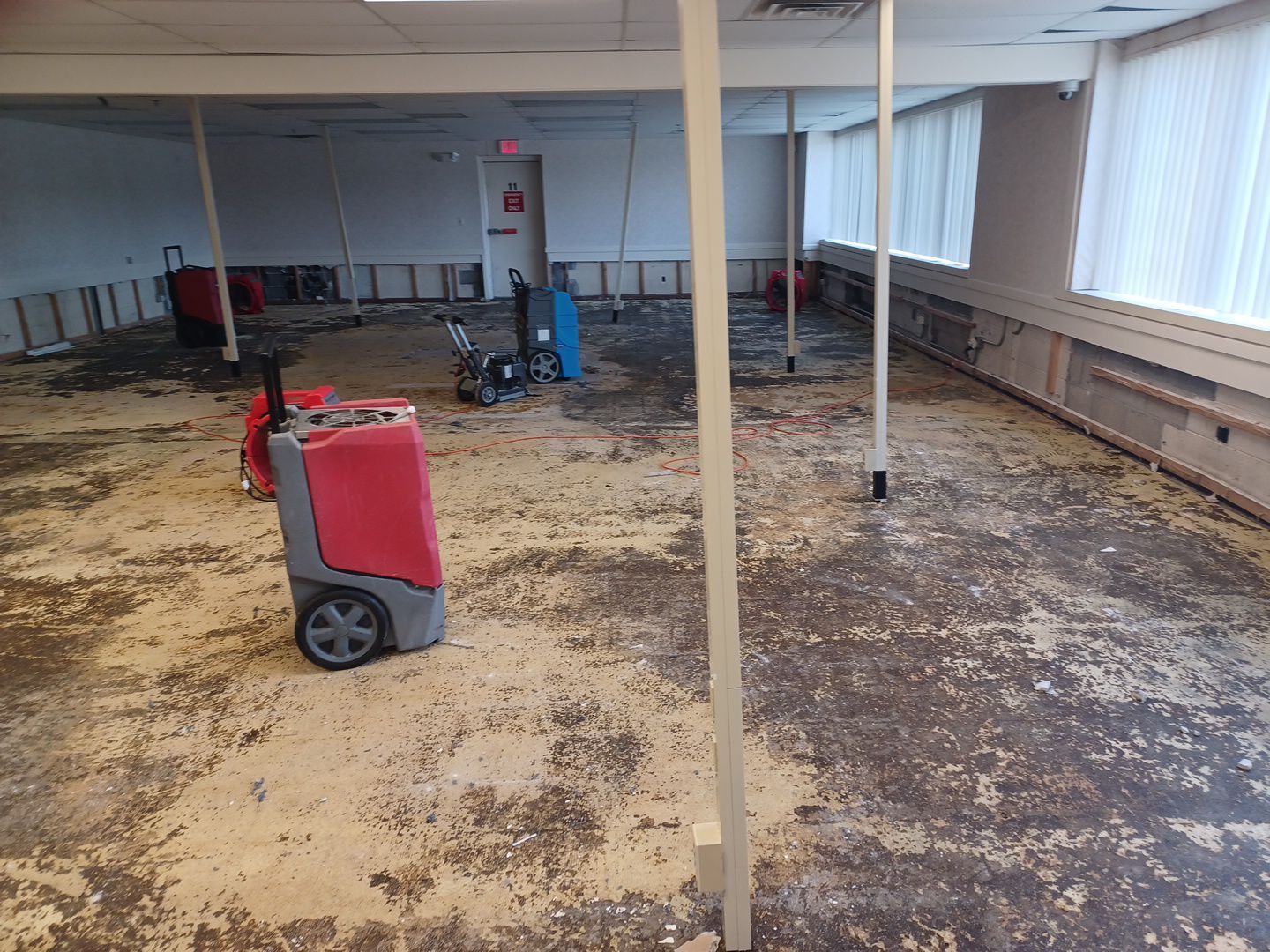 Project in Warren by EzDry Water Mitigation & Property Restoration