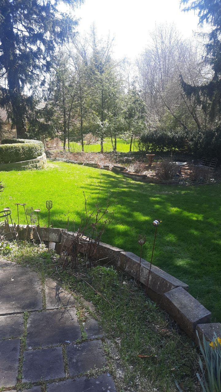 Tree Removal using Tree Removal by Mike Jones & Sons Tree Service LLC 