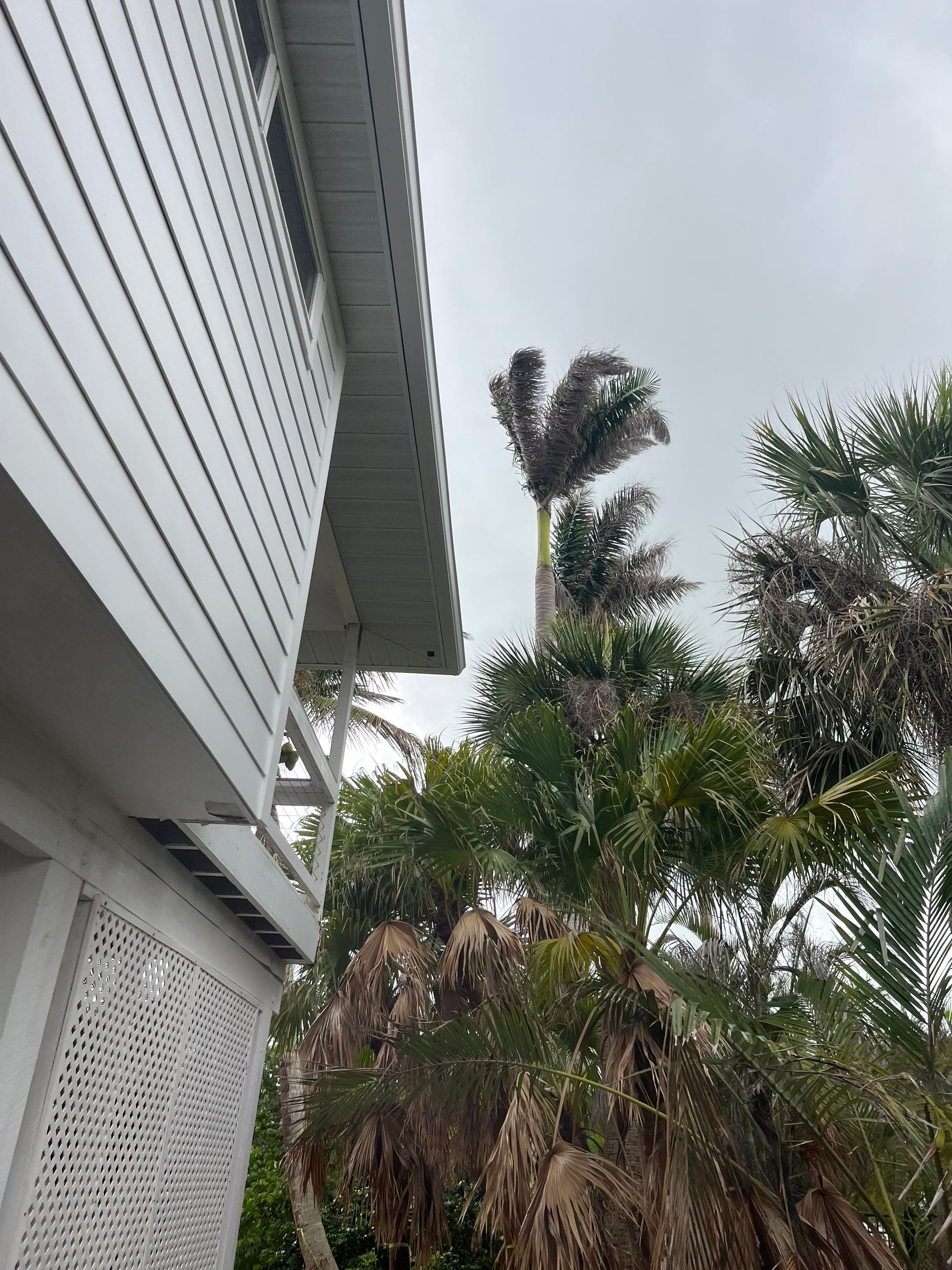 Complete Gutter, Soffit & Fascia Project in Placida FL by Gutter Professors