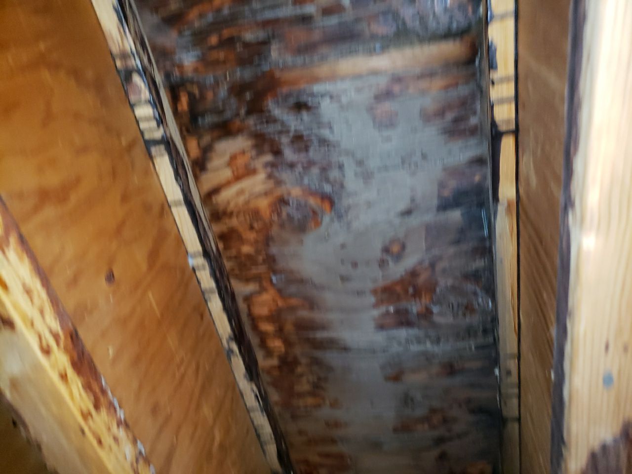 Residential Roofing Repair using Concrete Tile by The Roof Doctor