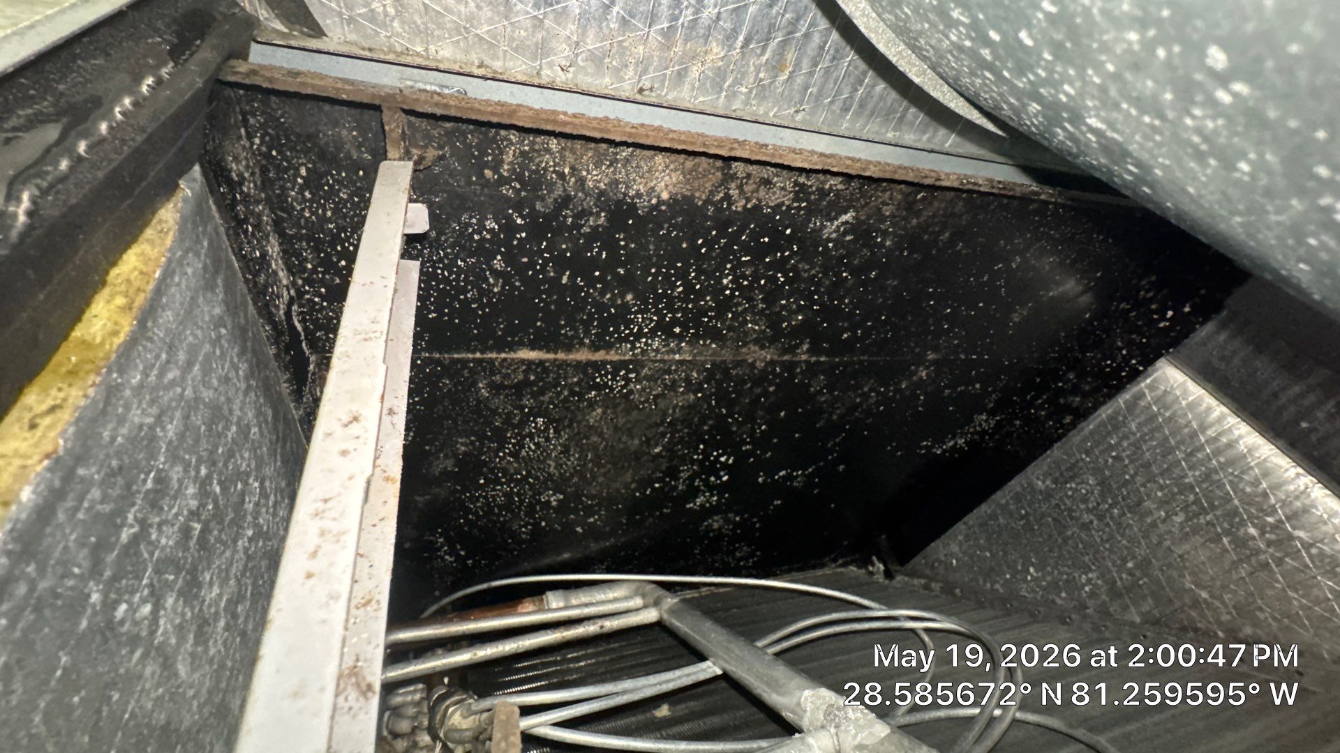 Air Duct Cleaning in Orlando by Hygienic Air, Inc