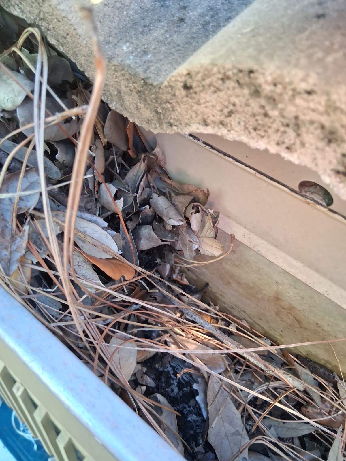 Gutter Cleaning Service in Sarasota FL by Gutter Professors