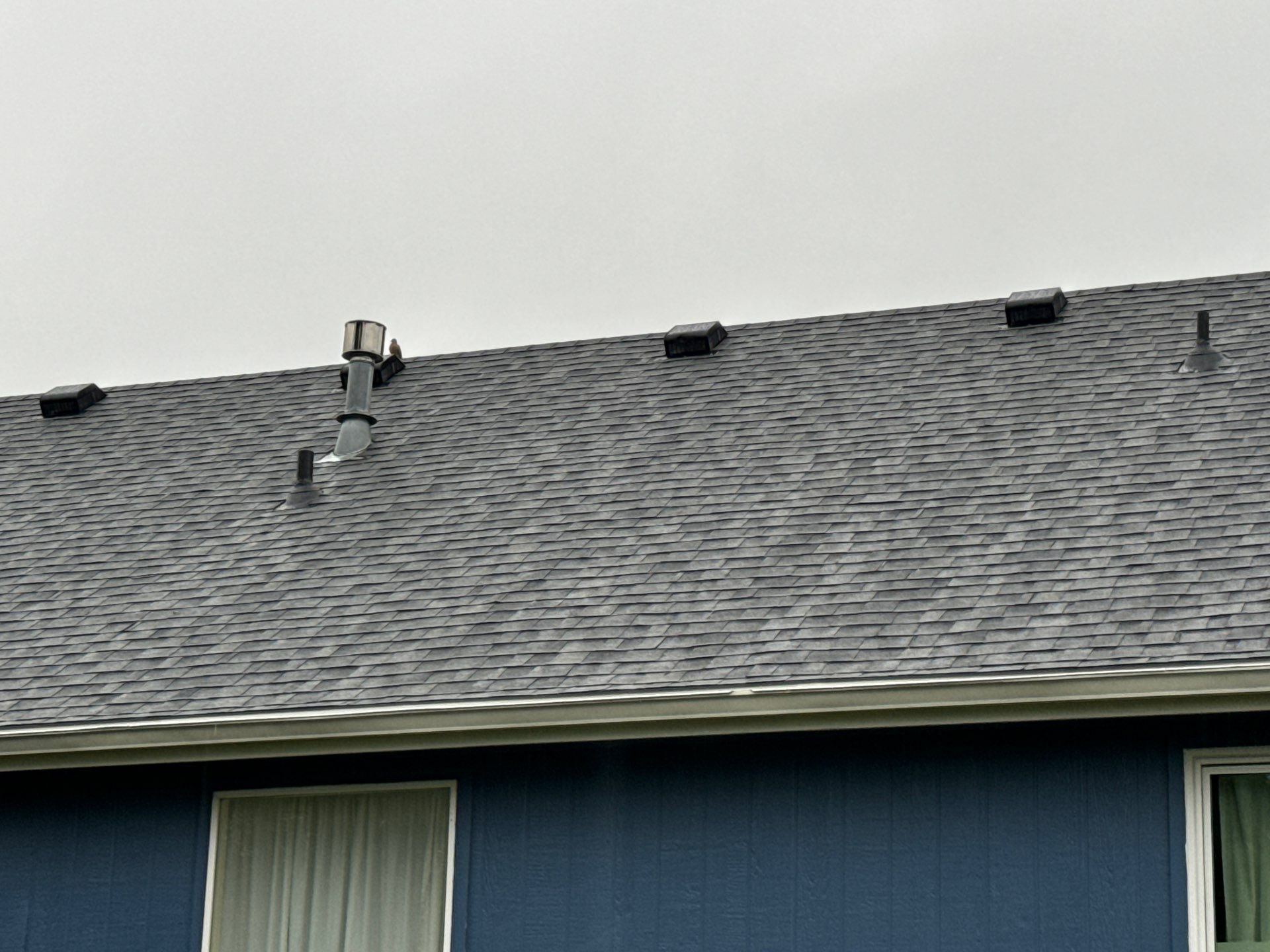 Residential Roofing Installation using OC Duration  by EEC  Windows, Siding & Roofing 